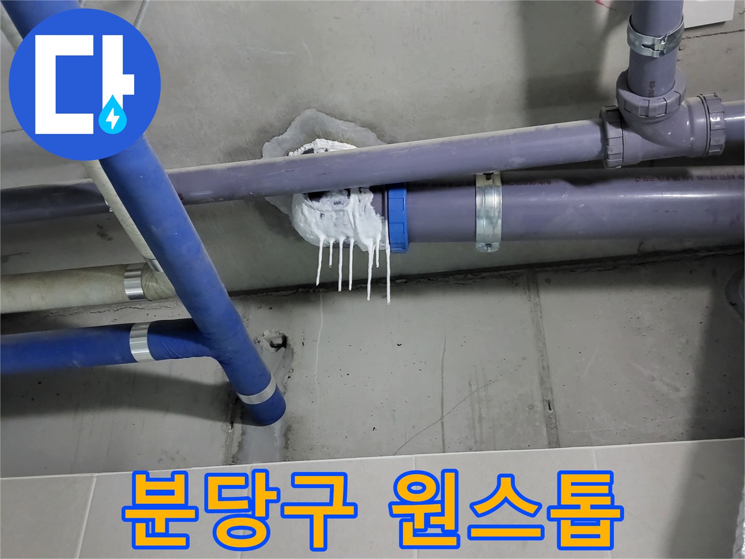 분당구 하수 누수 - 누수 탐지부터 완벽 시공까지 원스톱