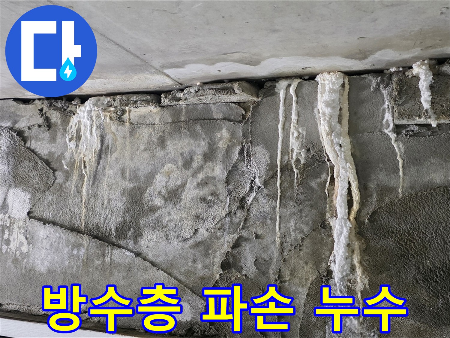 분당 누수 - 방수층 파손으로 인한 누수 확산 위험