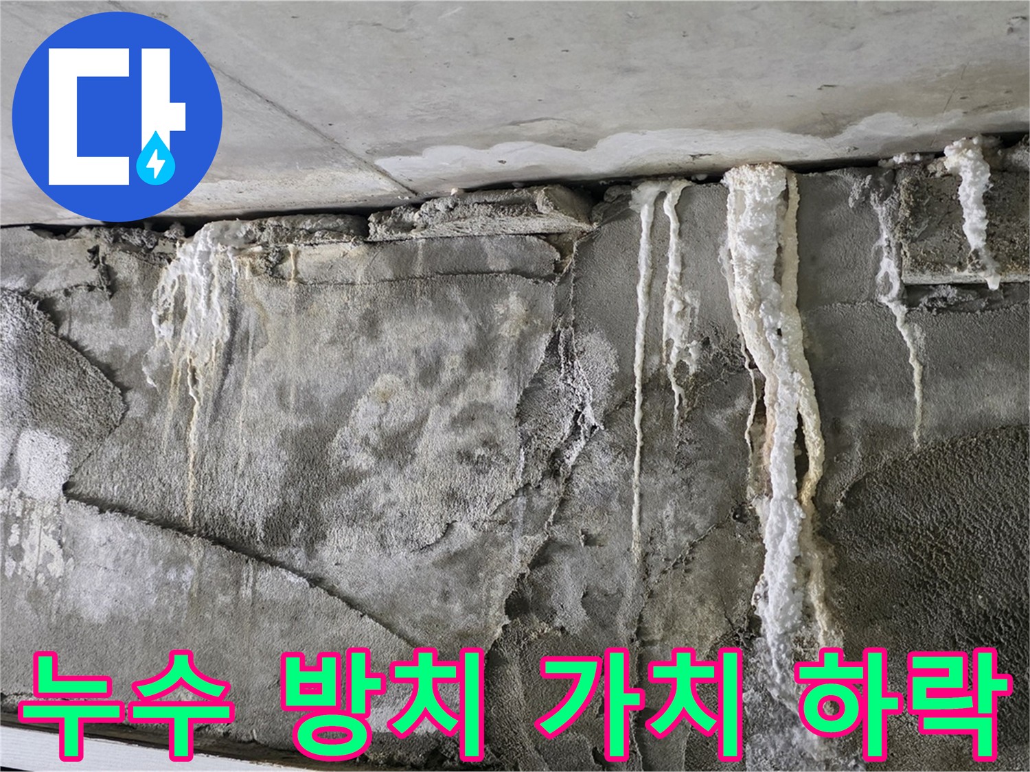 성남 누수 - 누수 방치는 건물 가치 하락의 지름길