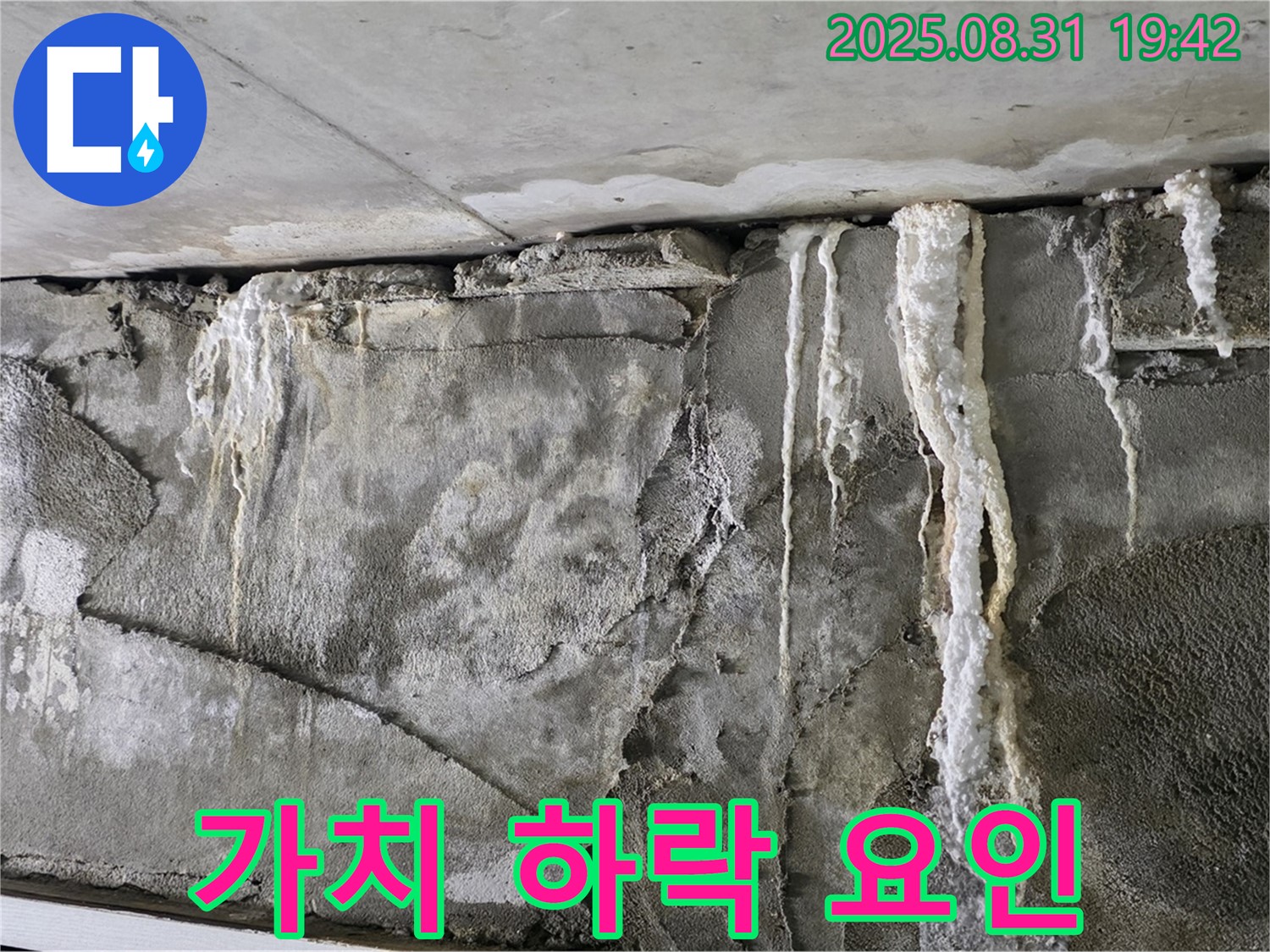 콘크리트 백화 - 건물 가치 하락