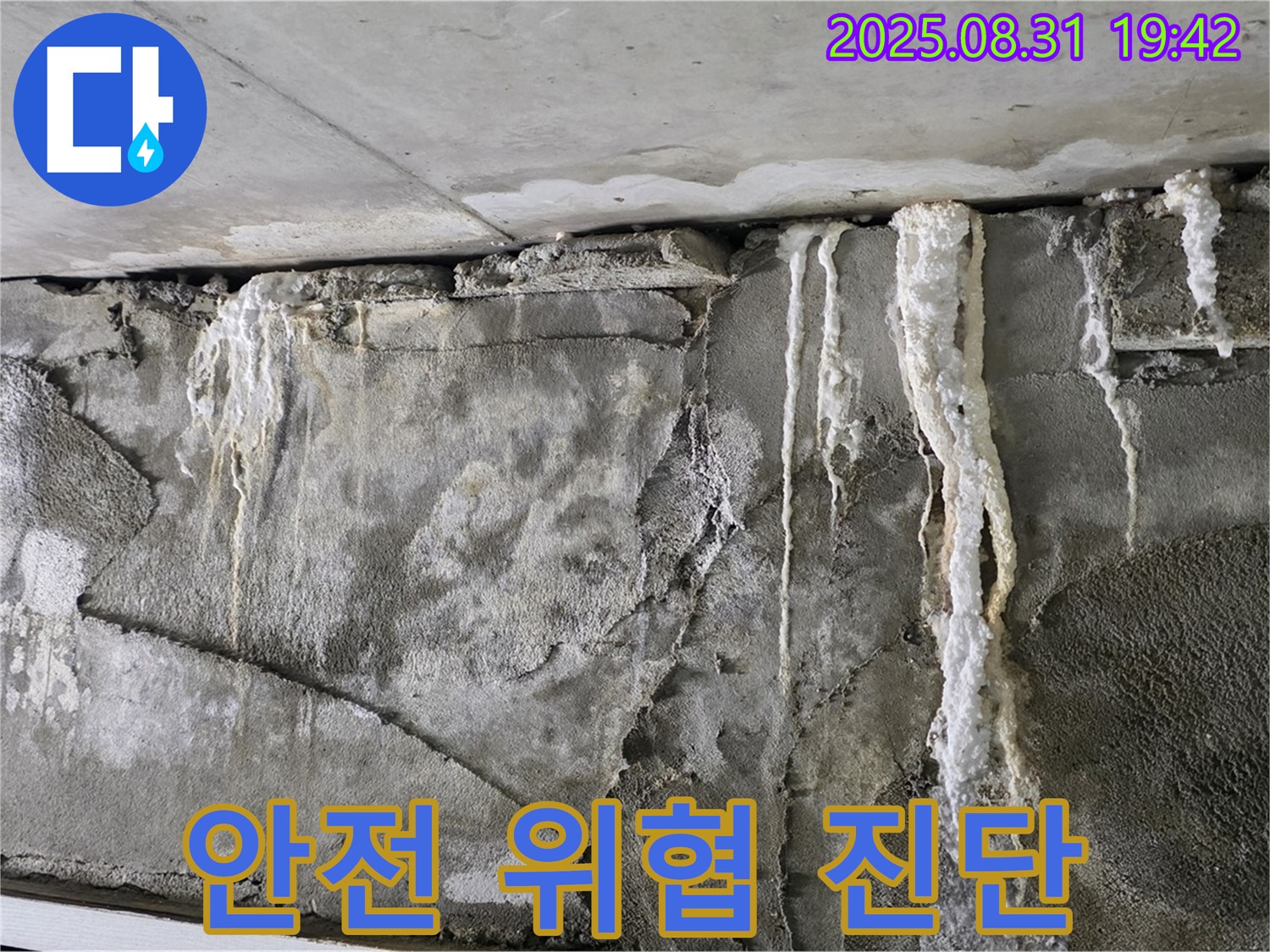 콘크리트 백화 - 건물 안전 위협, 전문 진단
