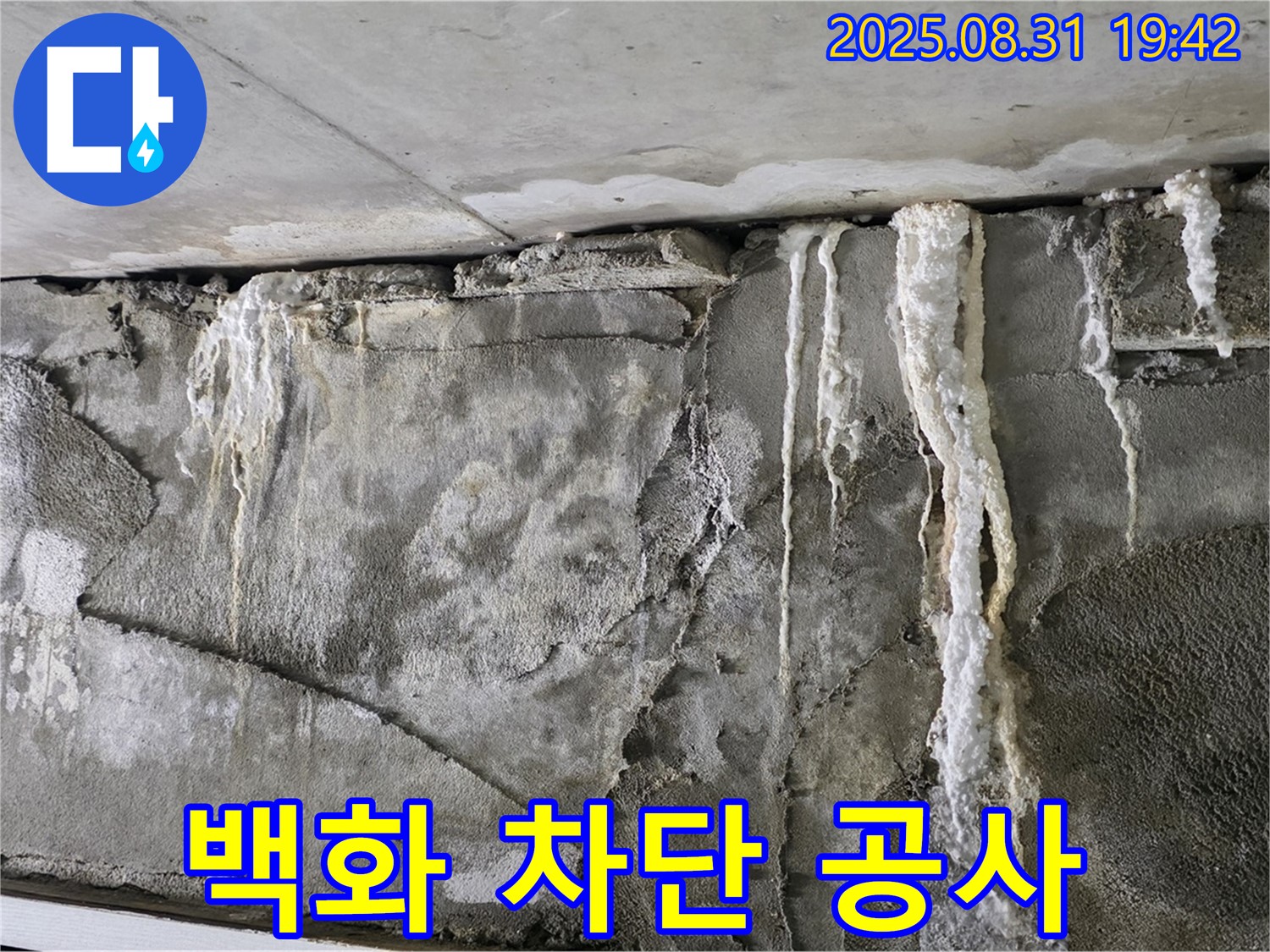 콘크리트 백화 - 완벽 차단 공사