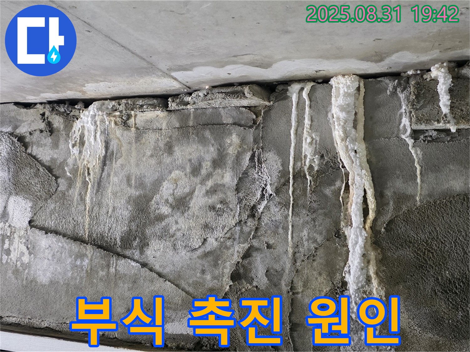 콘크리트 석회 - 건물 부식 촉진