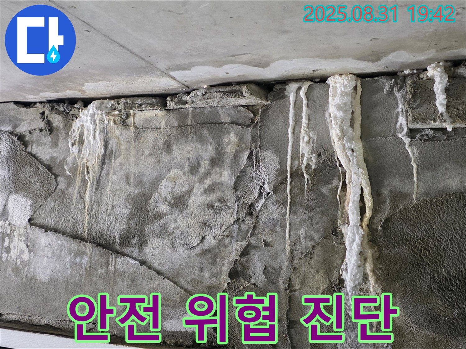 콘크리트 석회 - 건물 안전 위협, 전문 진단
