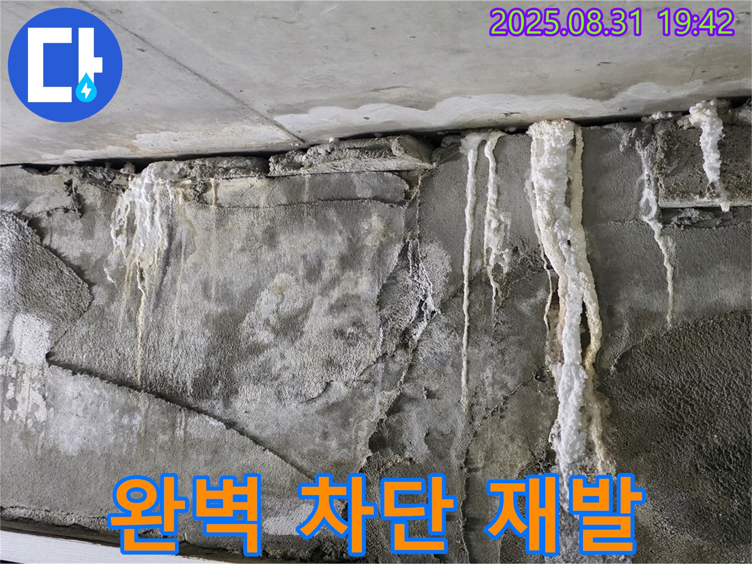 콘크리트 석회 - 완벽 차단, 재발 방지