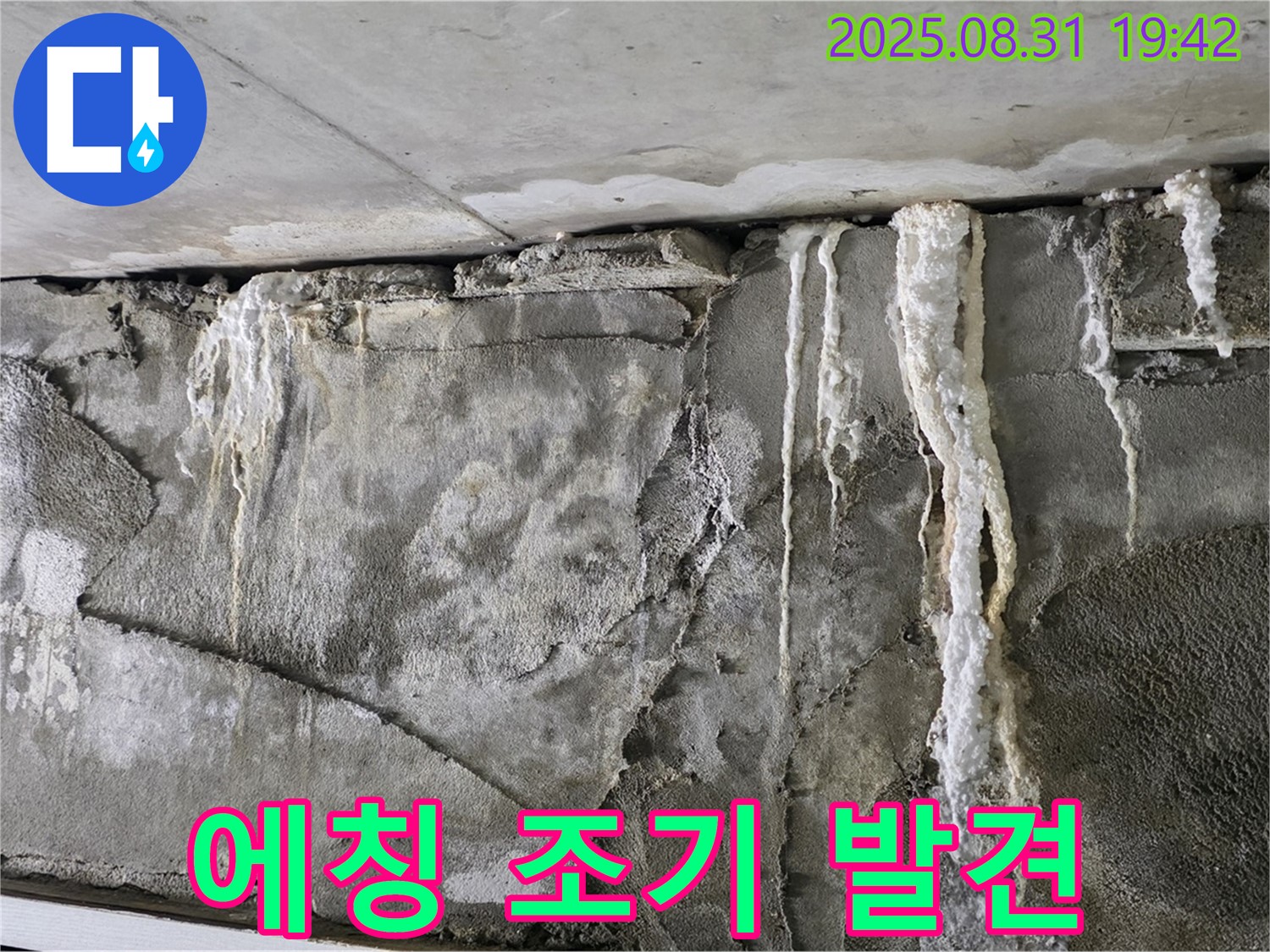 콘크리트 에칭 - 조기 발견 중요