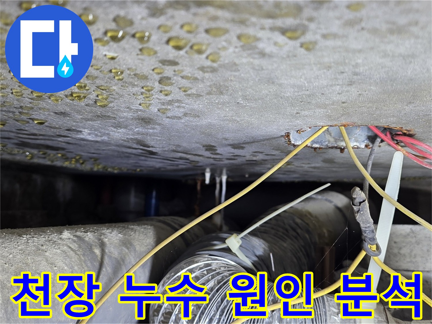 능동 천장 누수 점검 - 콘크리트 균열과 배관 문제 확인