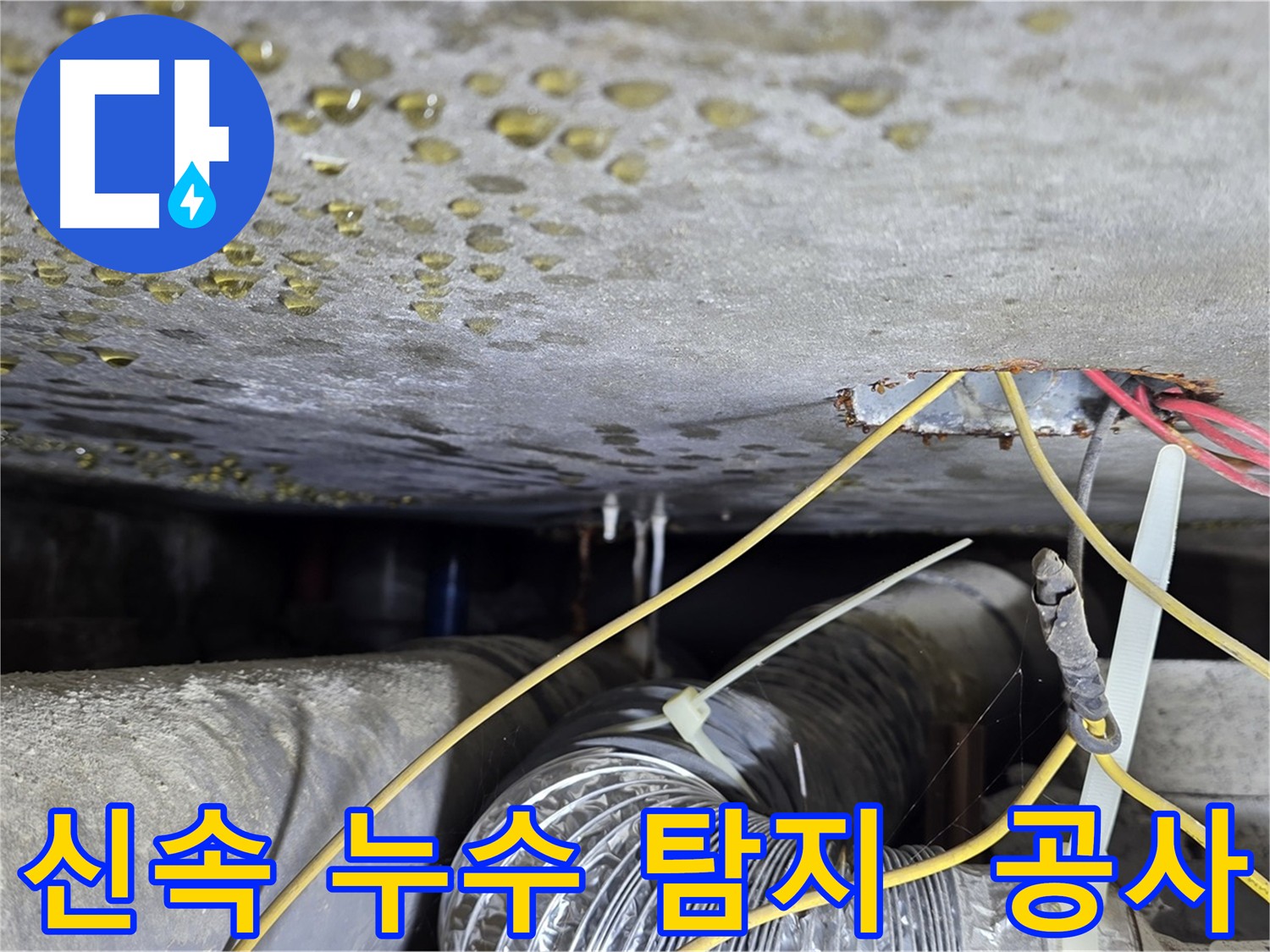 천장 누수 탐지 및 공사 - 콘크리트 균열과 배관 문제 확인