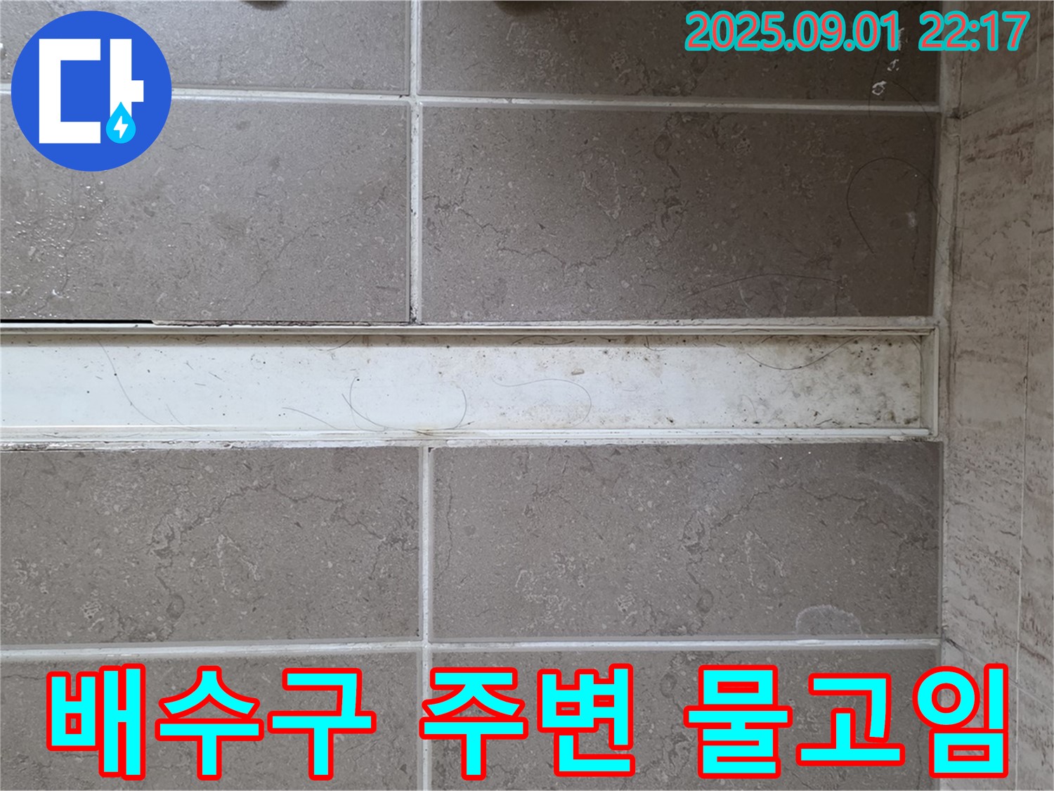 욕실 배수구 주변 물고임 - 누수 문제 발생