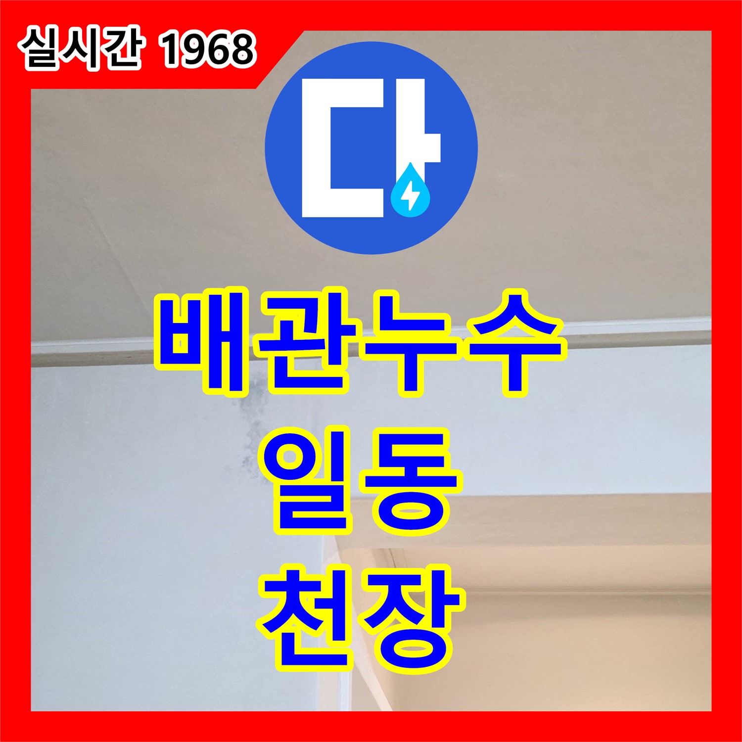 일동 누수, 복잡한 배관 속 천장 누수 해결