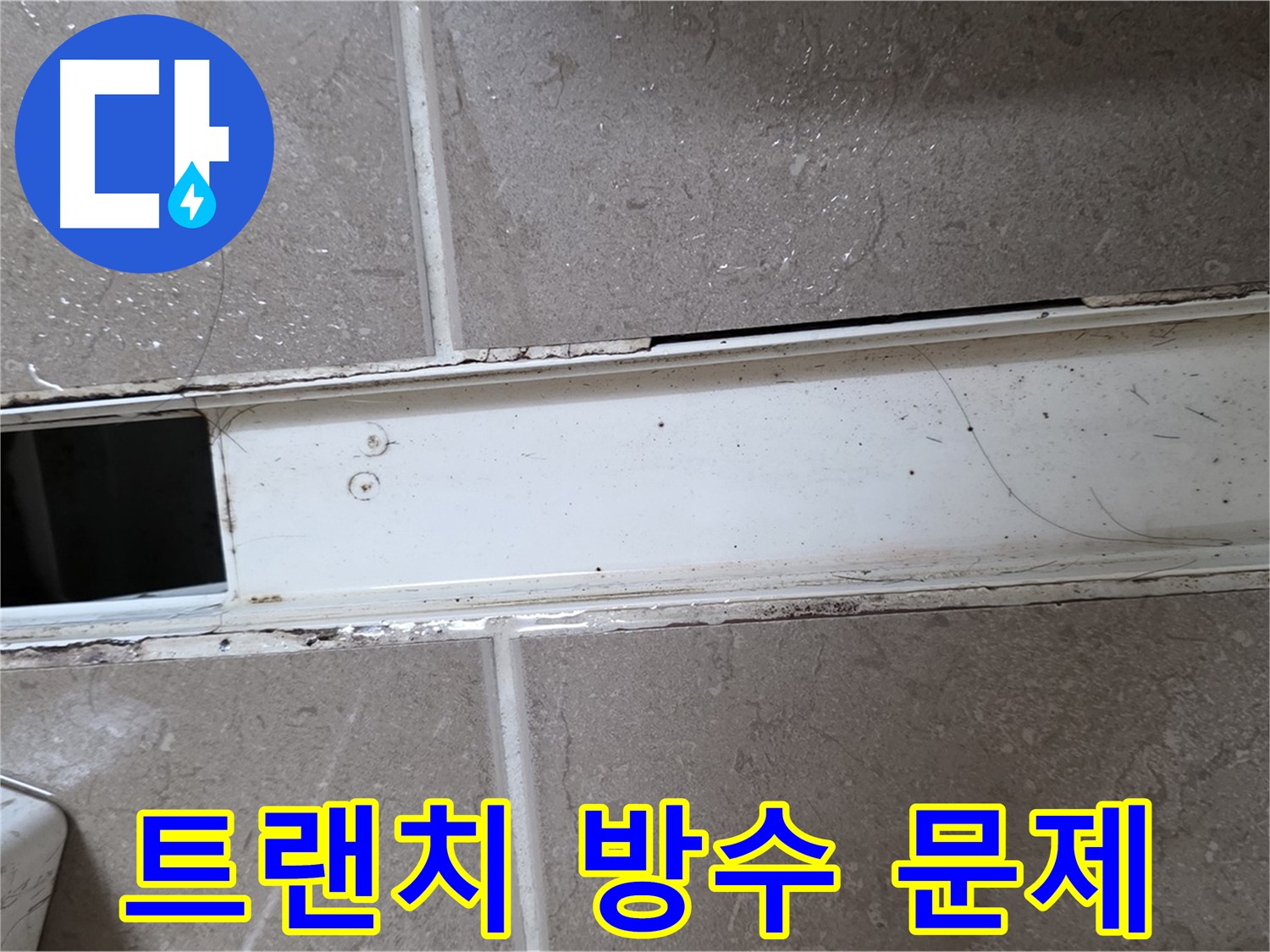화장실 샤워부스 트랜치 사진