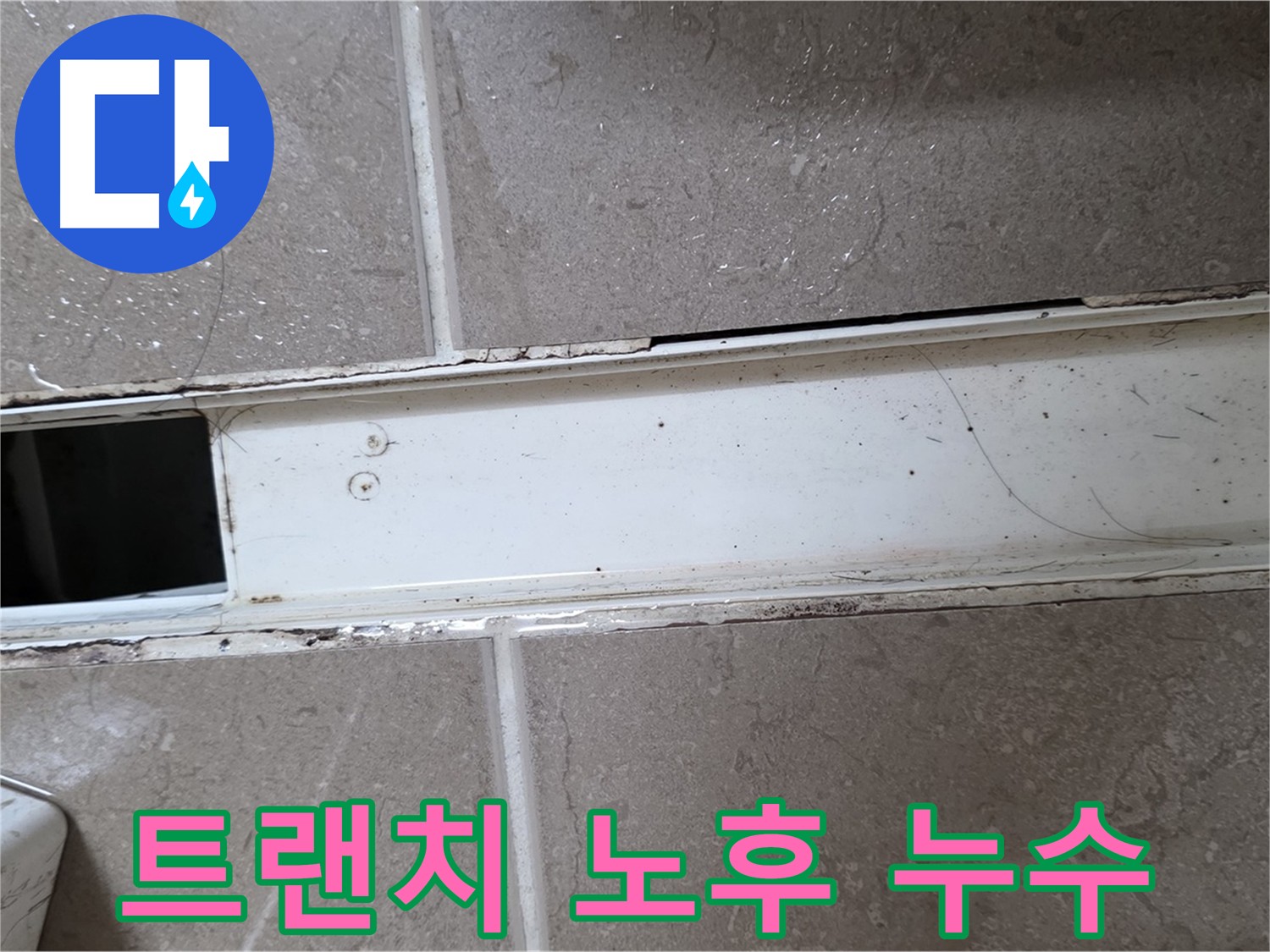 화장실 샤워부스 트랜치 사진