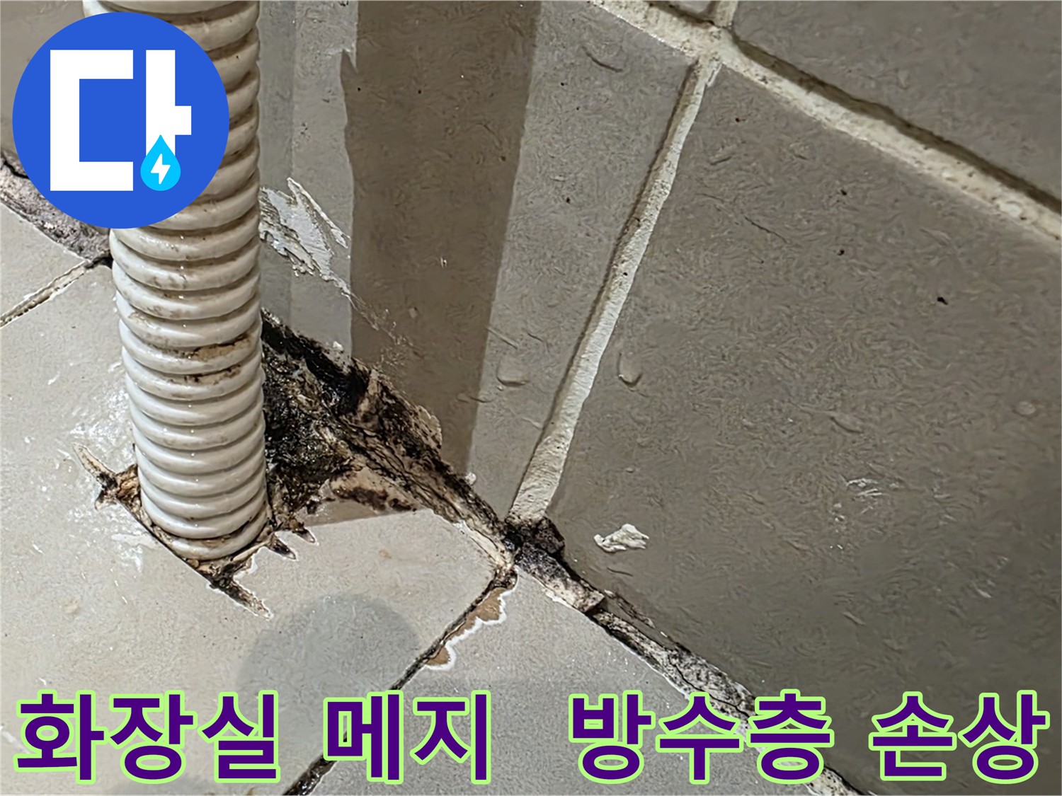한강로2가 상가 화장실 누수 탐지 - 메지 불량 및 방수층 손상 확인을 위한 주사기 테스트