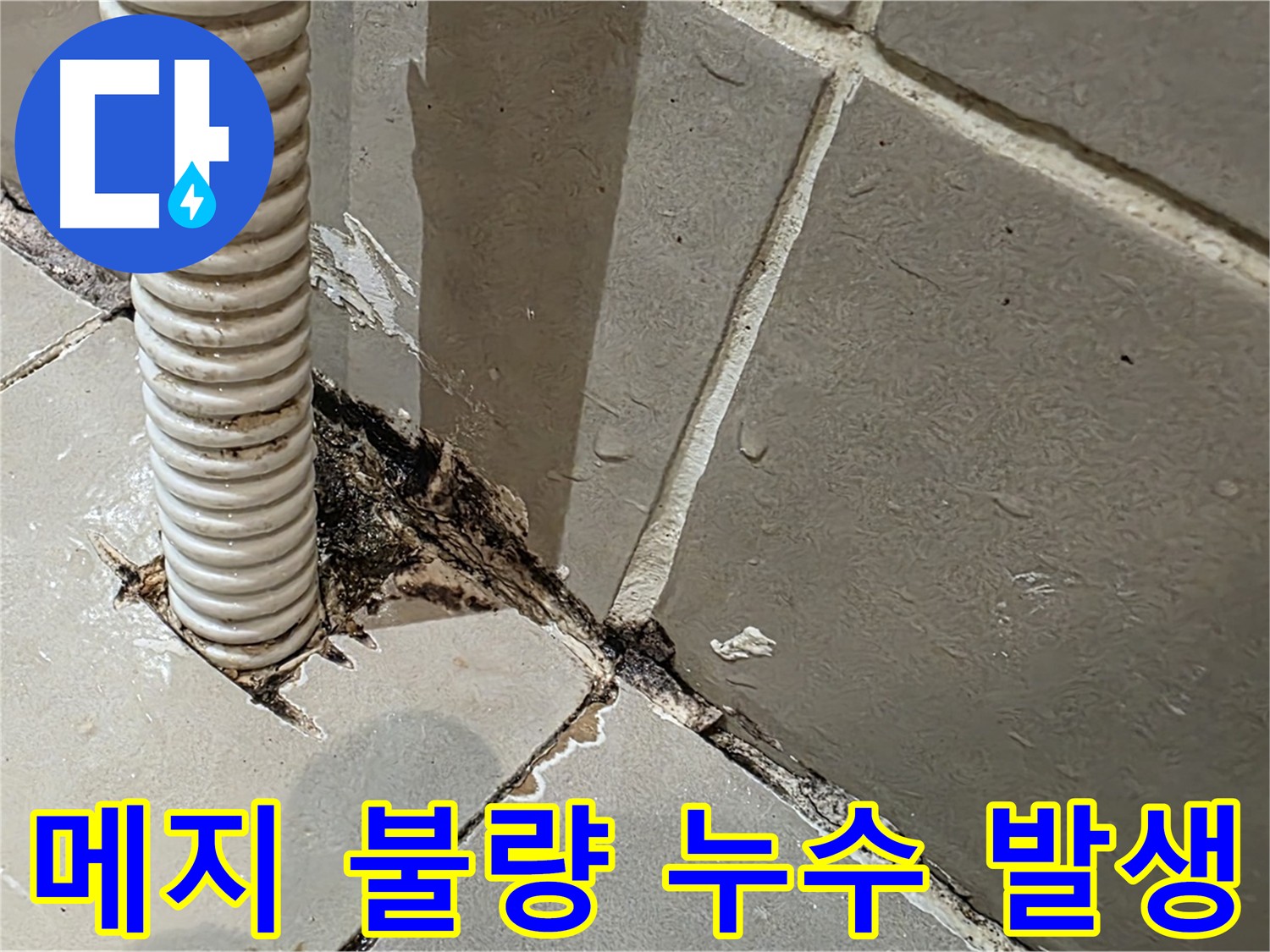 용산구 상가 화장실 누수 - 메지 불량 및 방수층 손상 확인을 위한 주사기 테스트