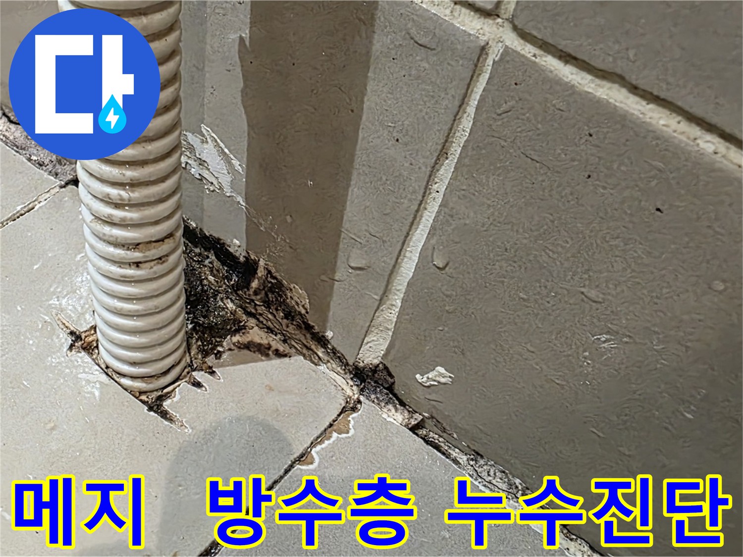 용산구 한강로2가 상가 화장실 누수 - 메지 불량과 방수층 크랙으로 인한 누수 진단 및 주사기 테스트