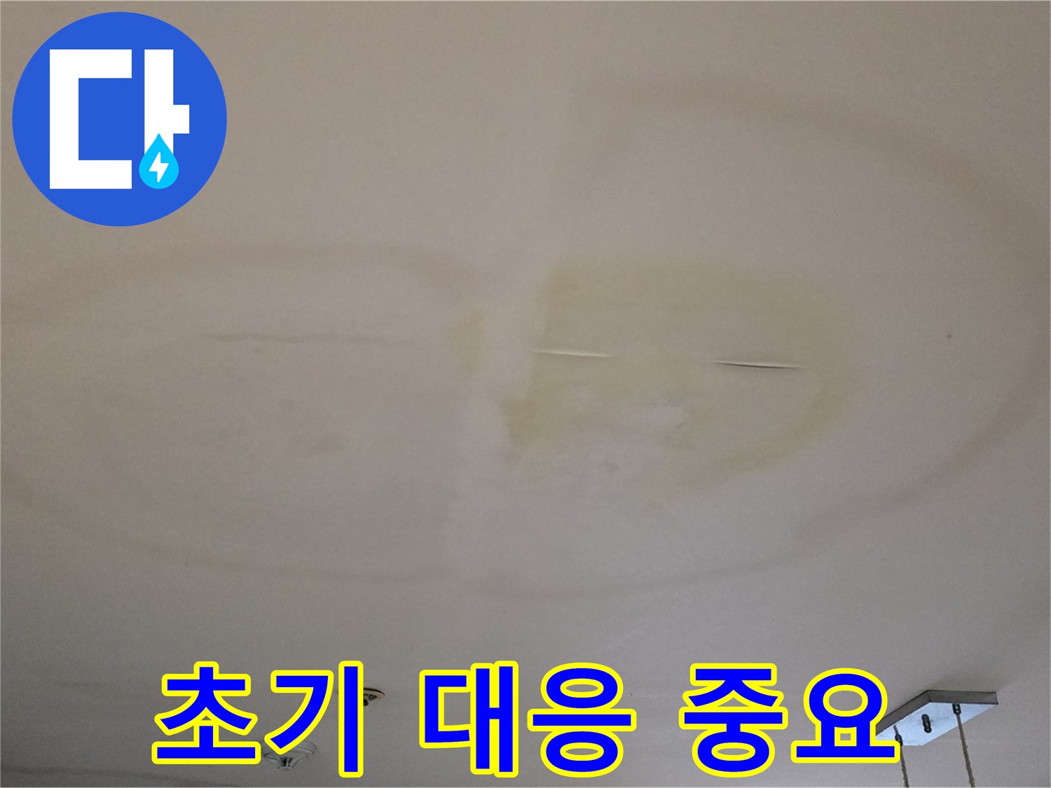 장안동 르메이에르 아파트 천장 누수 초기 대응 중요성