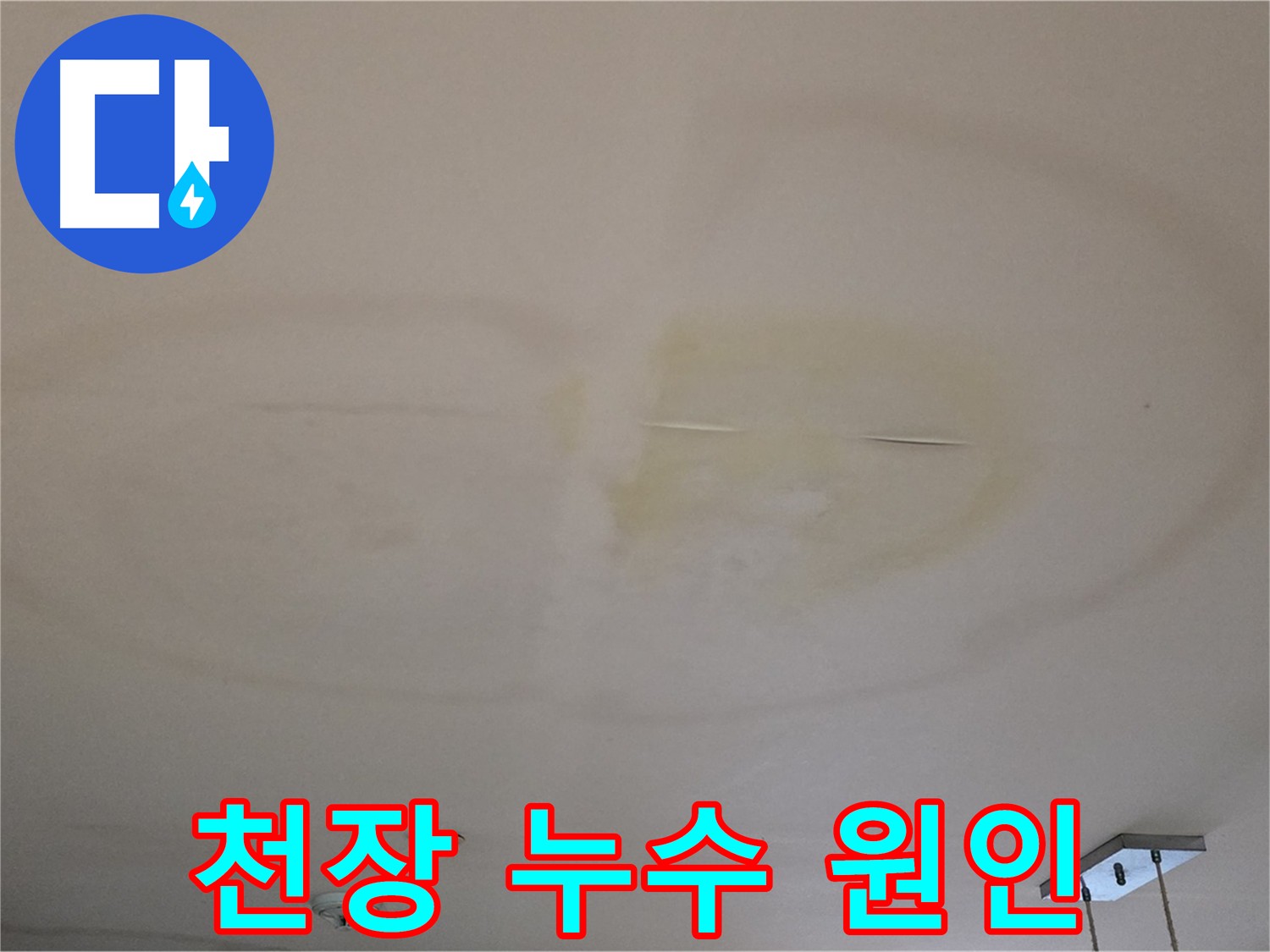 심각한 아랫집 천장 누수 피해 - 젖은 벽지와 물 떨어짐 흔적 사진