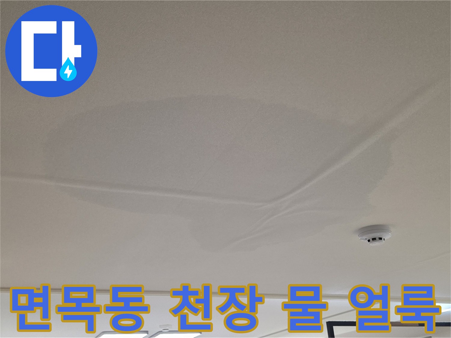 아랫집 천장 누수 - 넓은 범위 물 얼룩 - 누수 원인 파악 중