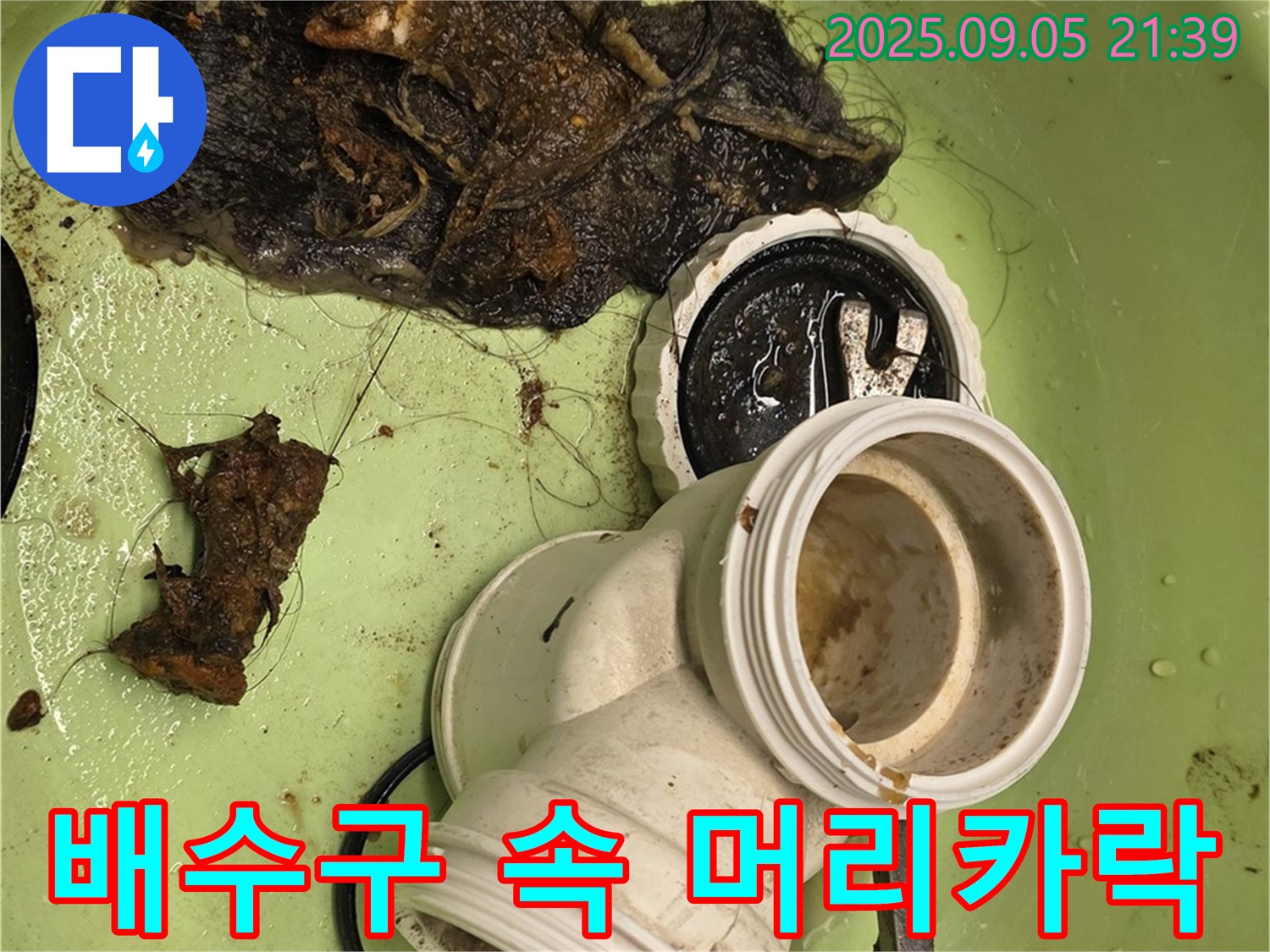 배수구 속 머리카락 제거 - 누수 해결의 핵심!