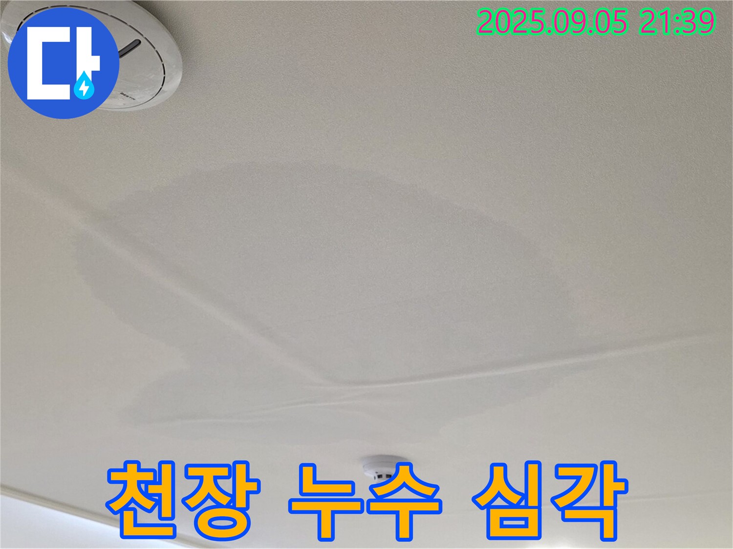 사가정 센트럴아이파크 누수 - 천장 누수 피해 심각