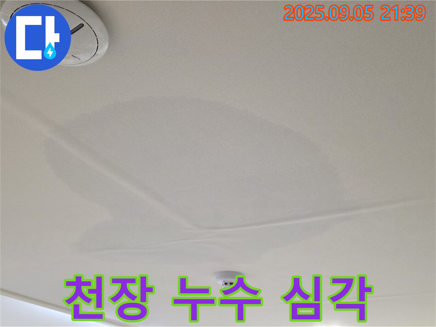 사가정 센트럴아이파크 누수 - 천장 누수 피해 심각