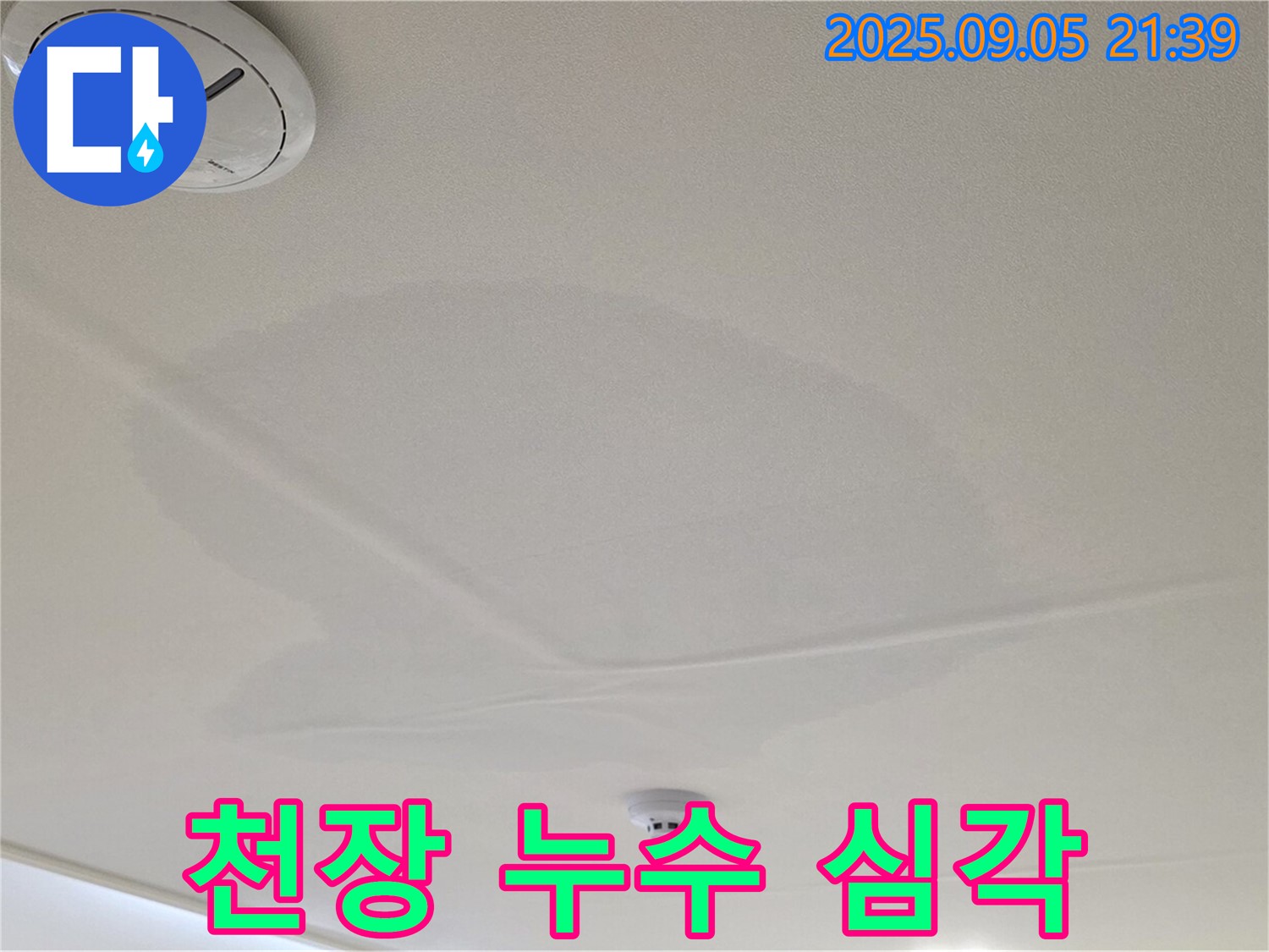 사가정 센트럴아이파크 누수 - 천장 누수 피해 심각
