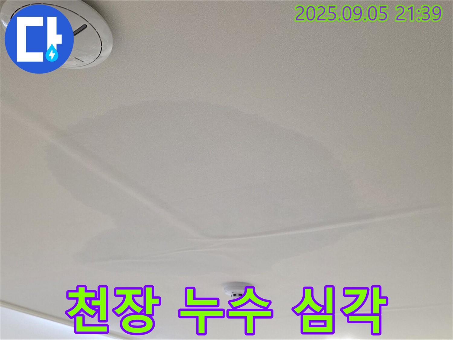 사가정 센트럴아이파크 누수 - 천장 누수 피해 심각