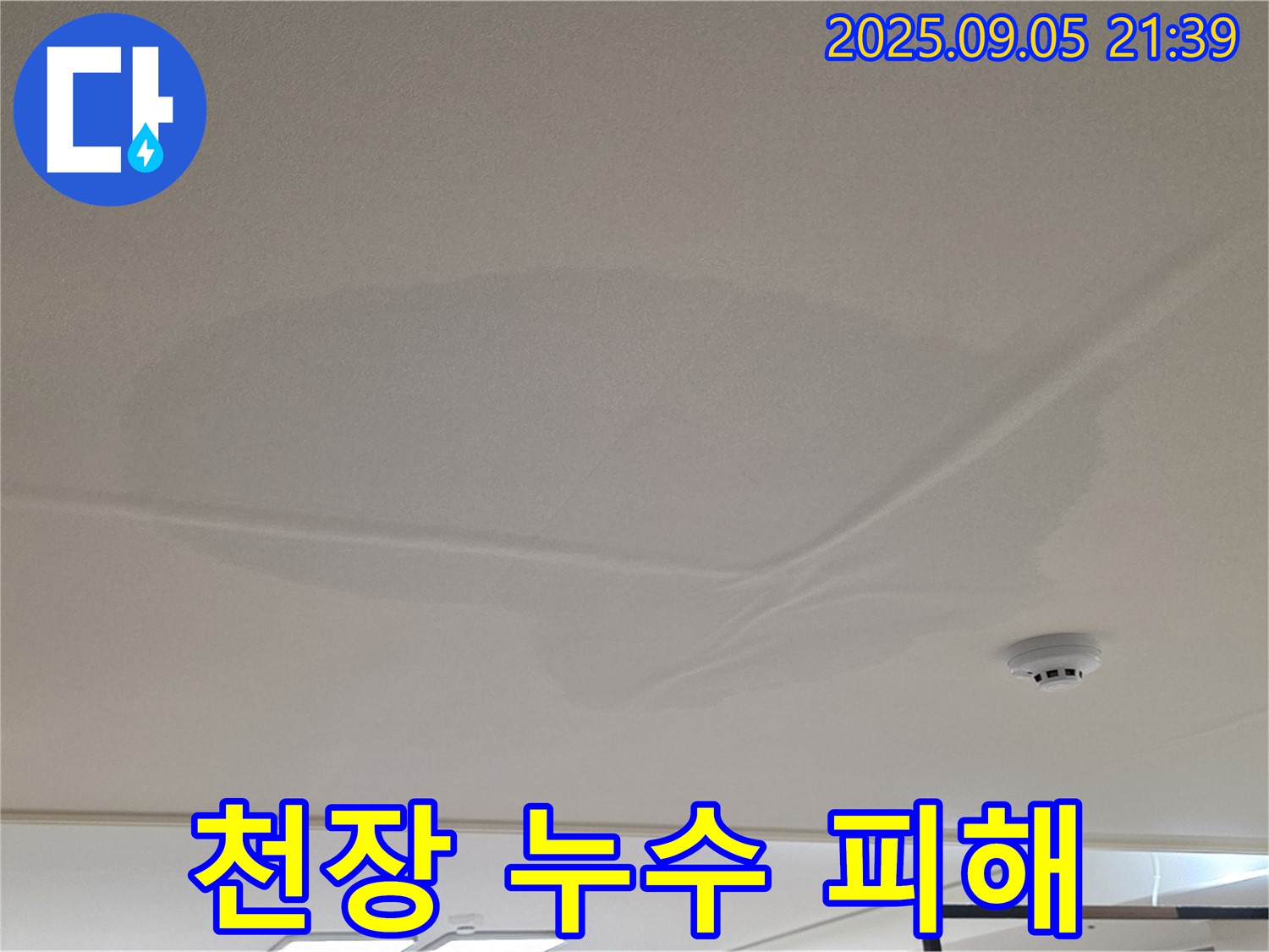 사가정 센트럴아이파크 - 천장 누수 피해, 젖은 천장