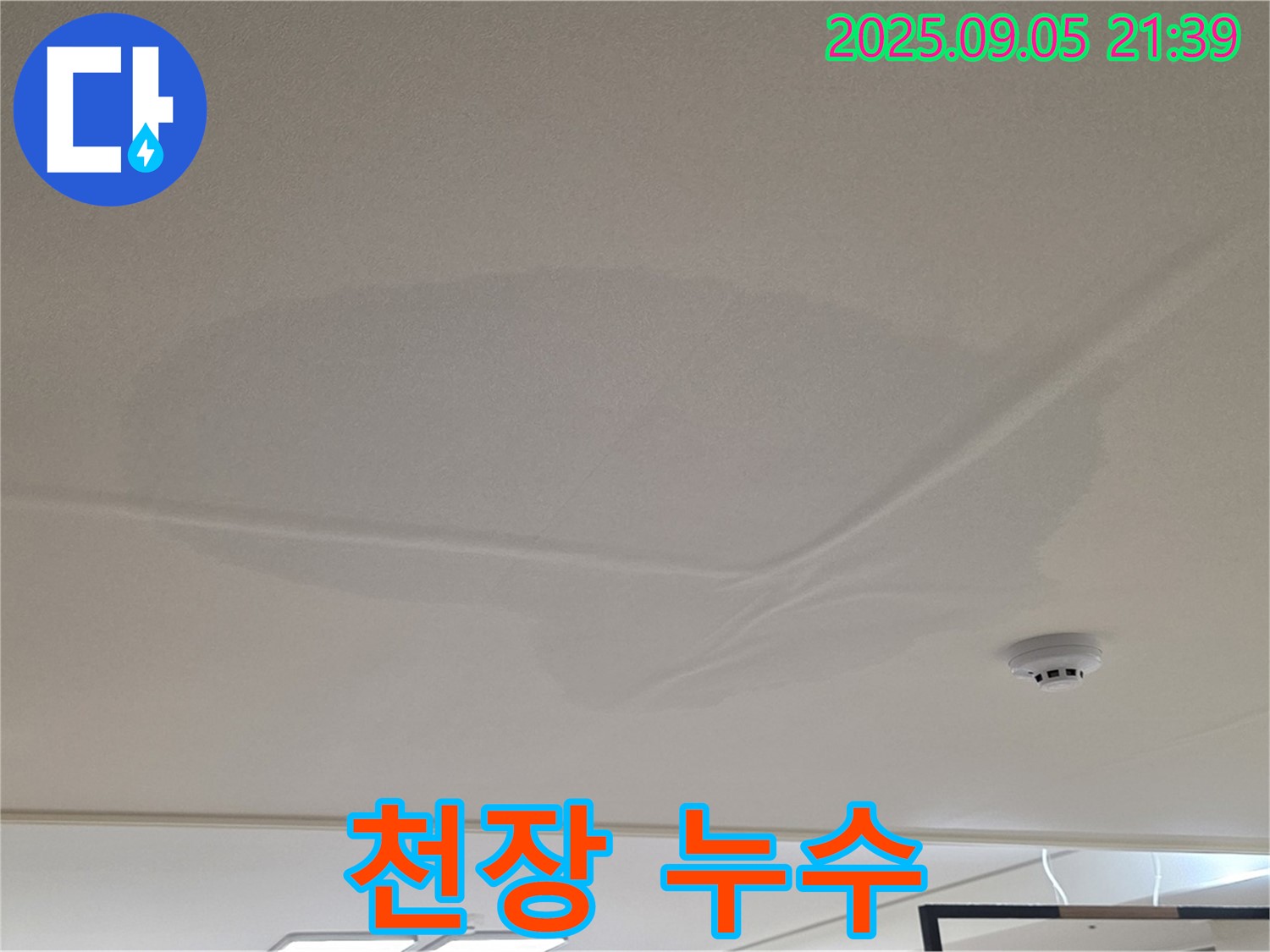 사가정 센트럴아이파크 - 천장 누수 흔적, 젖어있는 천장