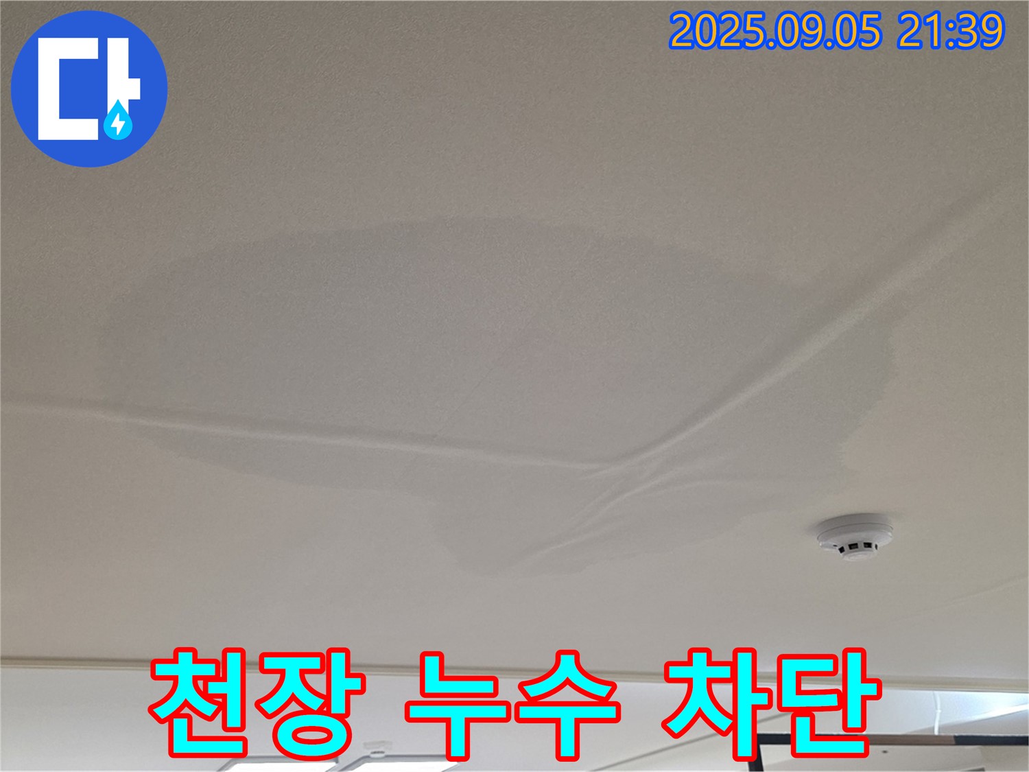 사가정 아파트 누수 - 천장 누수 차단, 젖은 천장