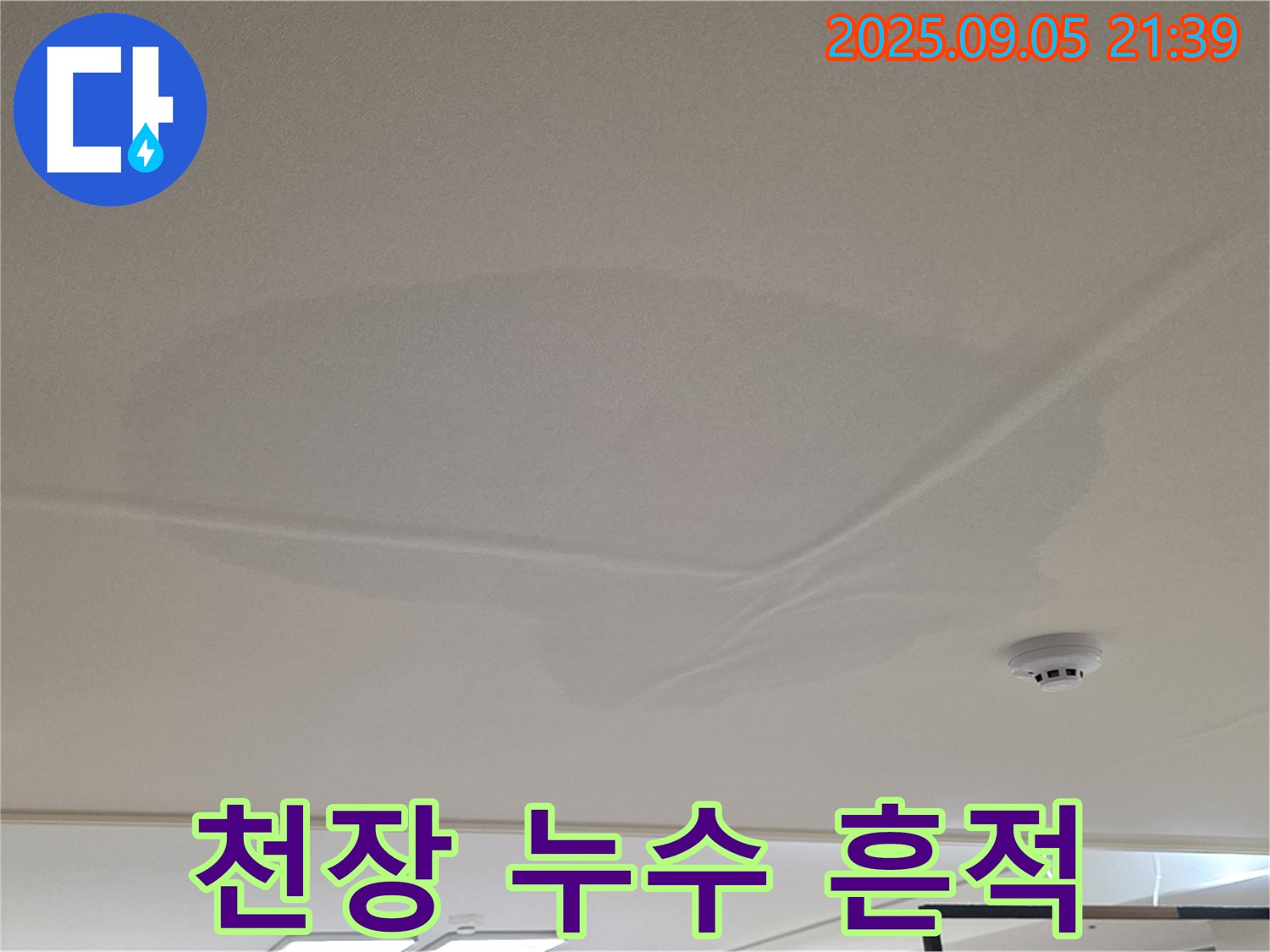 사가정 아파트 누수 - 천장 누수 흔적, 젖은 천장