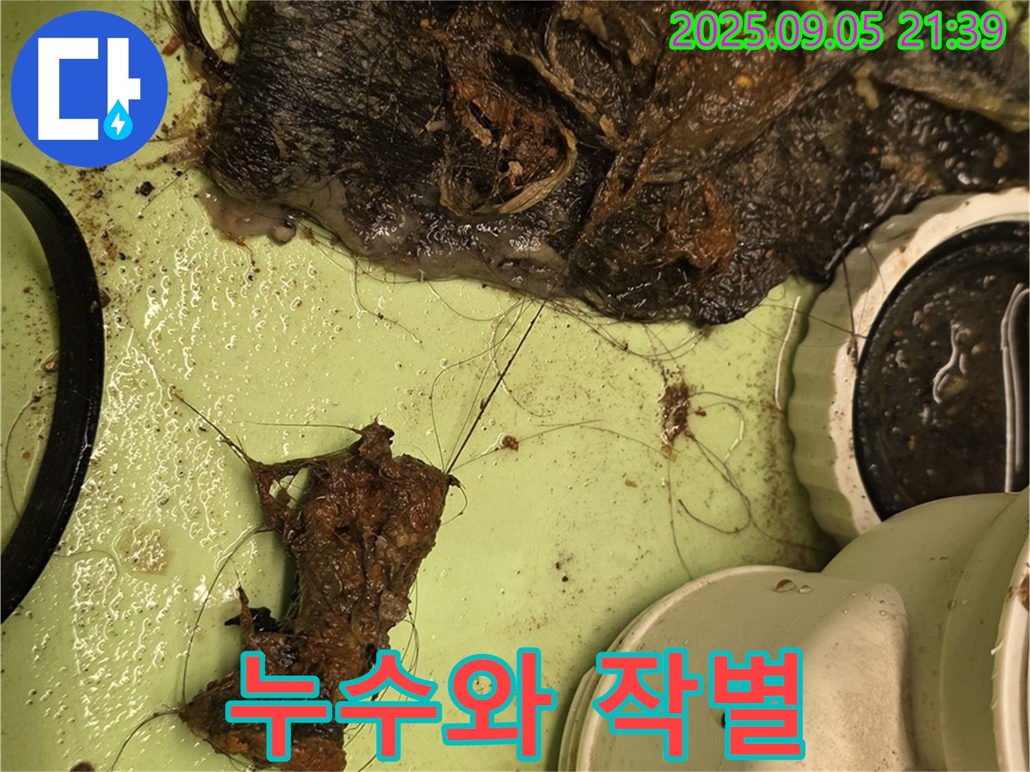 세면대 배수구 막힘 - 깨끗한 청소 - 누수와 작별