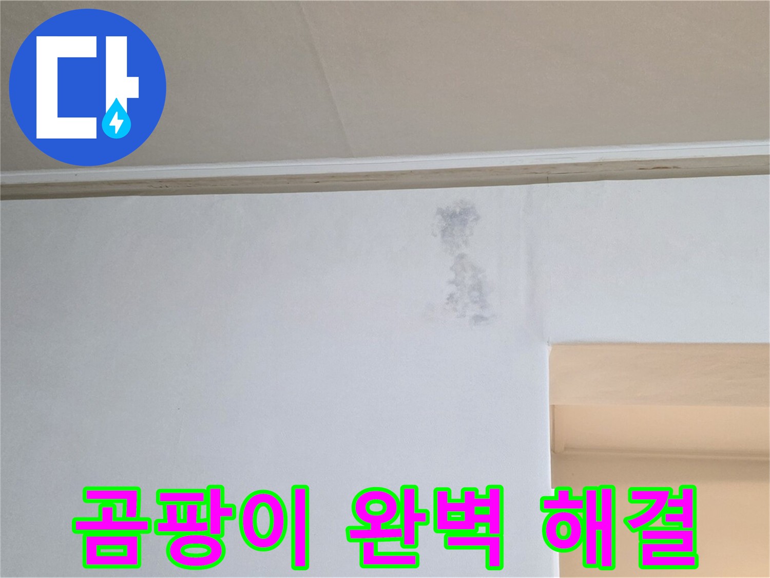 곰팡이 문제 완벽 해결 자신 - 신뢰와 책임