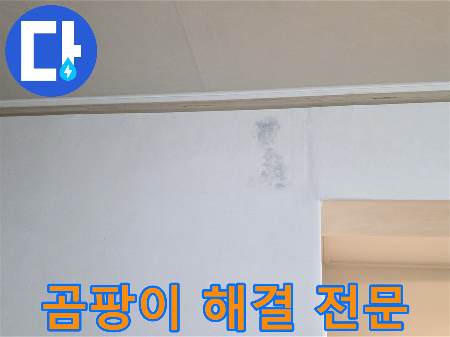 곰팡이 문제 해결 전문 - 믿고 맡기세요