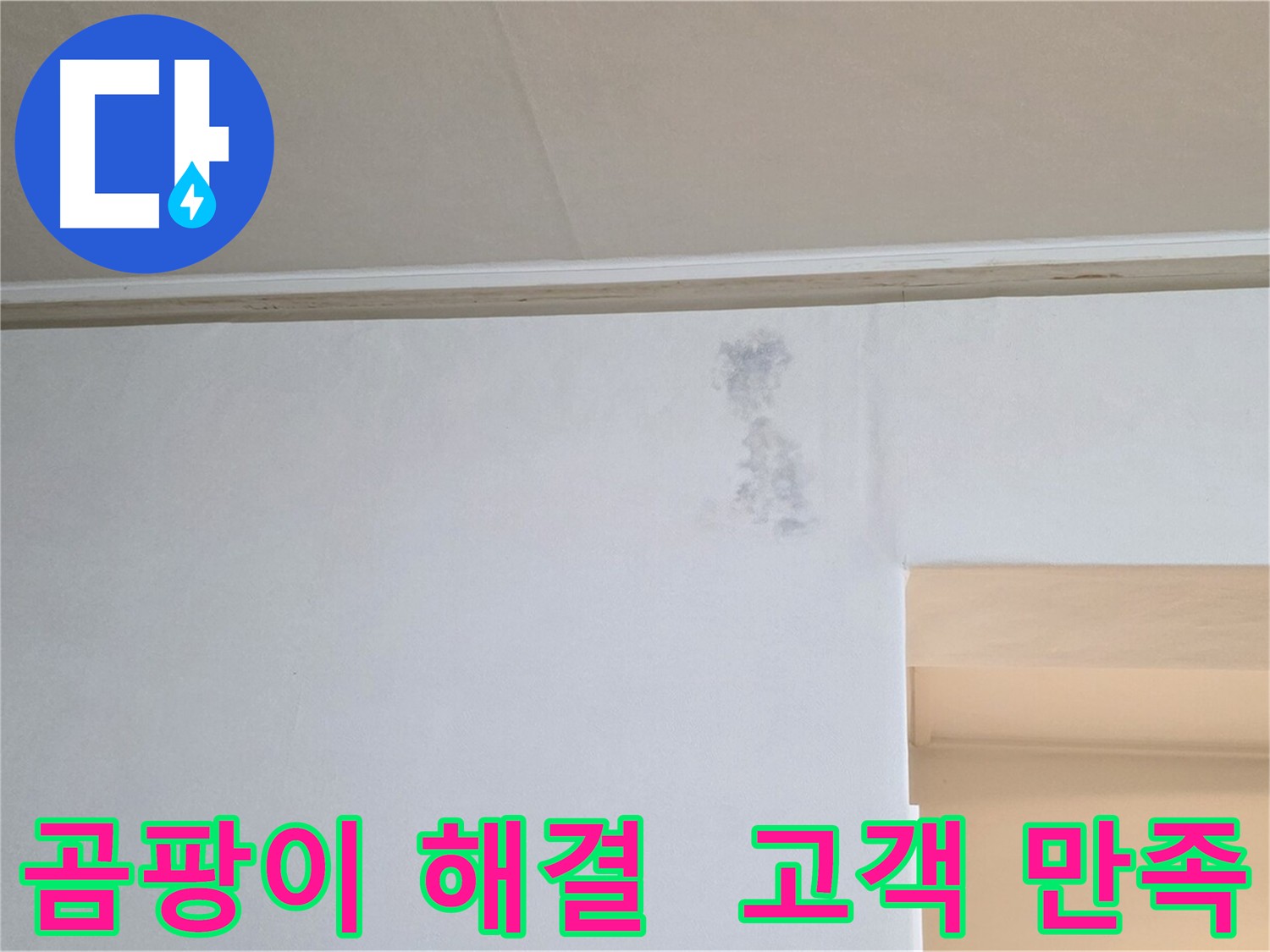 곰팡이 문제 해결 후 고객 만족 - 신뢰와 만족