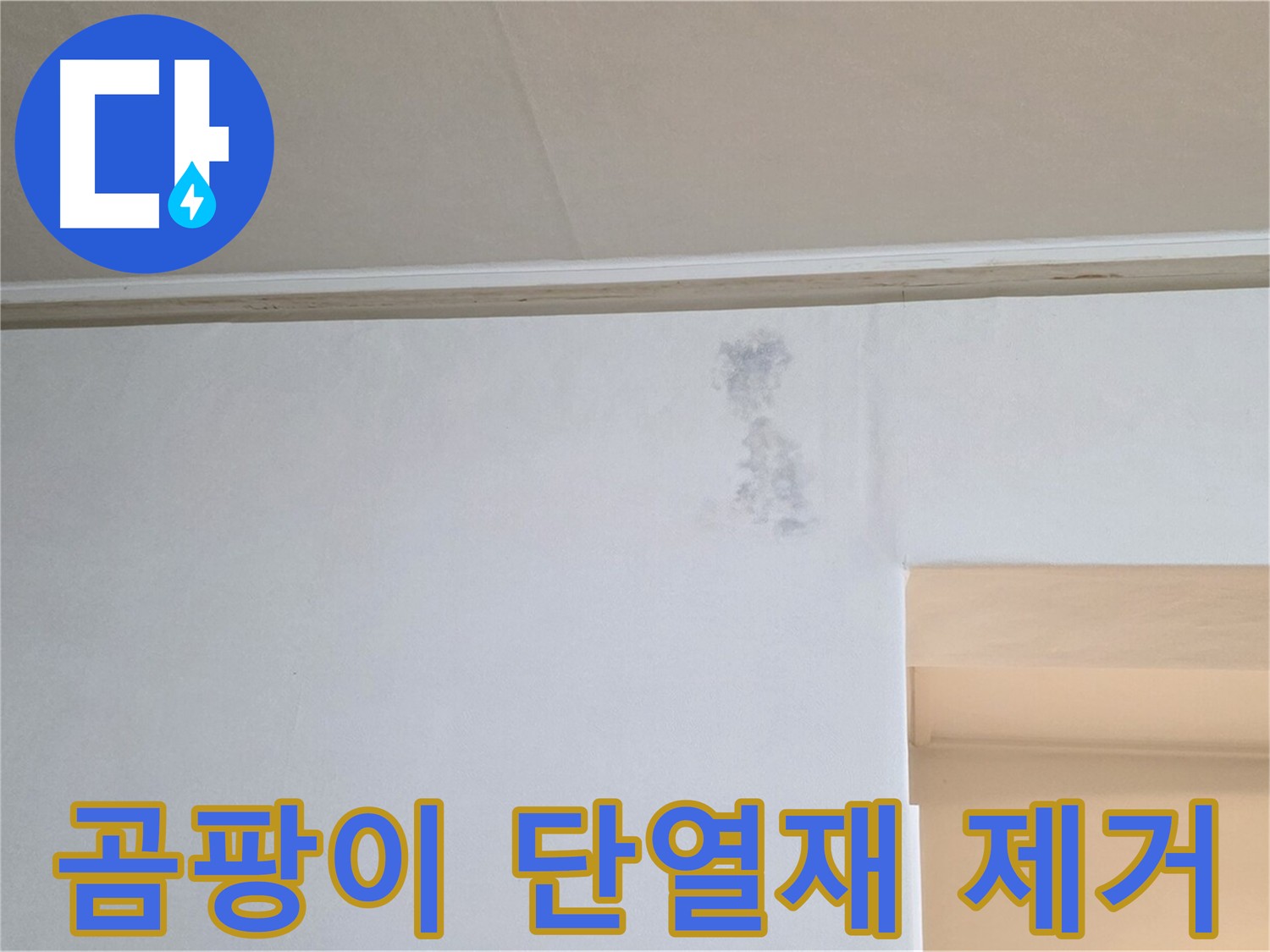 곰팡이 슨 단열재 완벽 제거 - 쾌적한 환경 조성