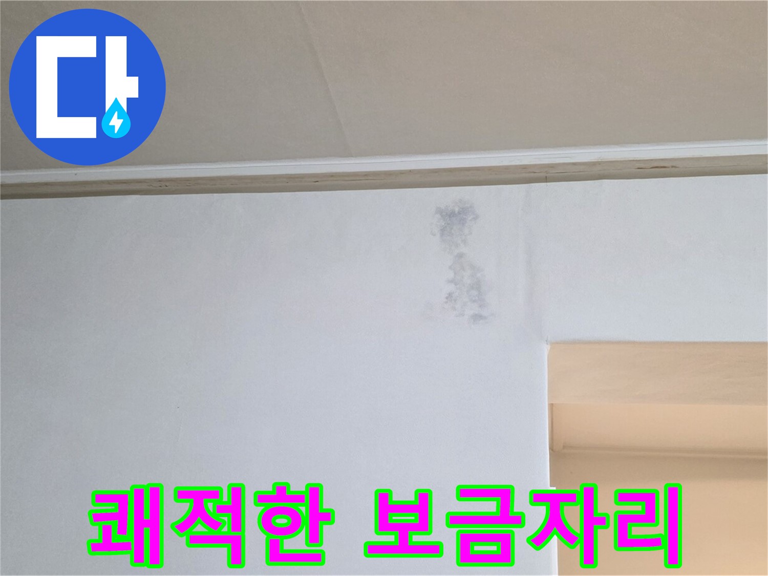 곰팡이 없는 쾌적한 보금자리 - 건강 되찾기