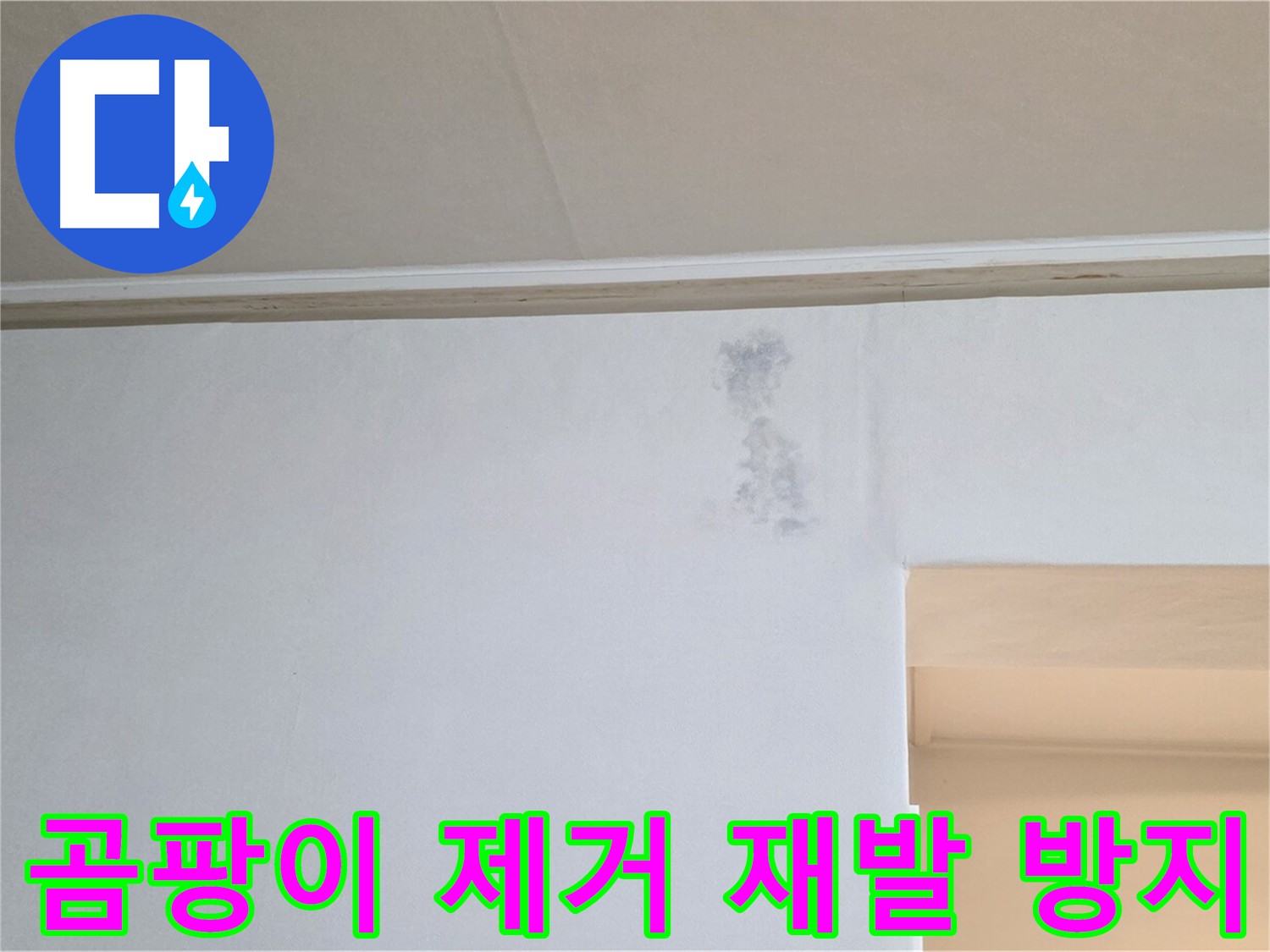 곰팡이 제거 및 재발 방지 시공 - 쾌적한 공간 조성