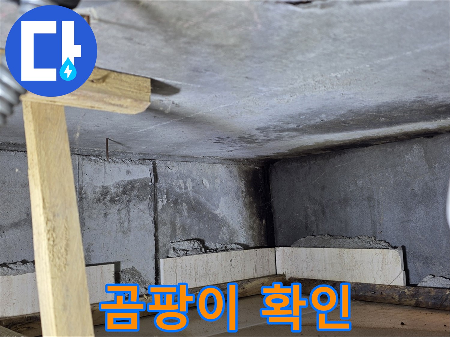 누수 부위 - 곰팡이 발생 확인