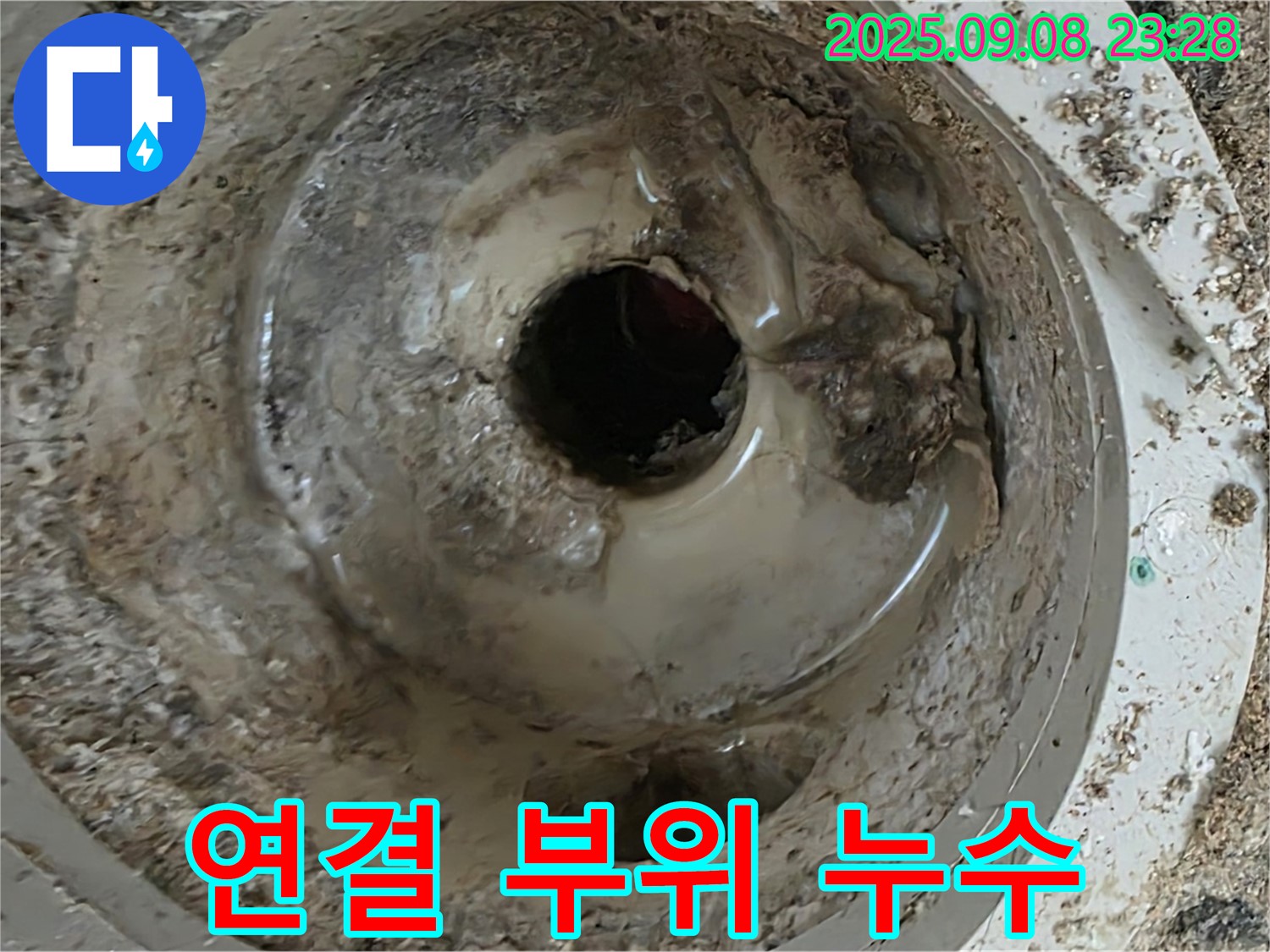 배수구 연결 부위 누수 집중 확인