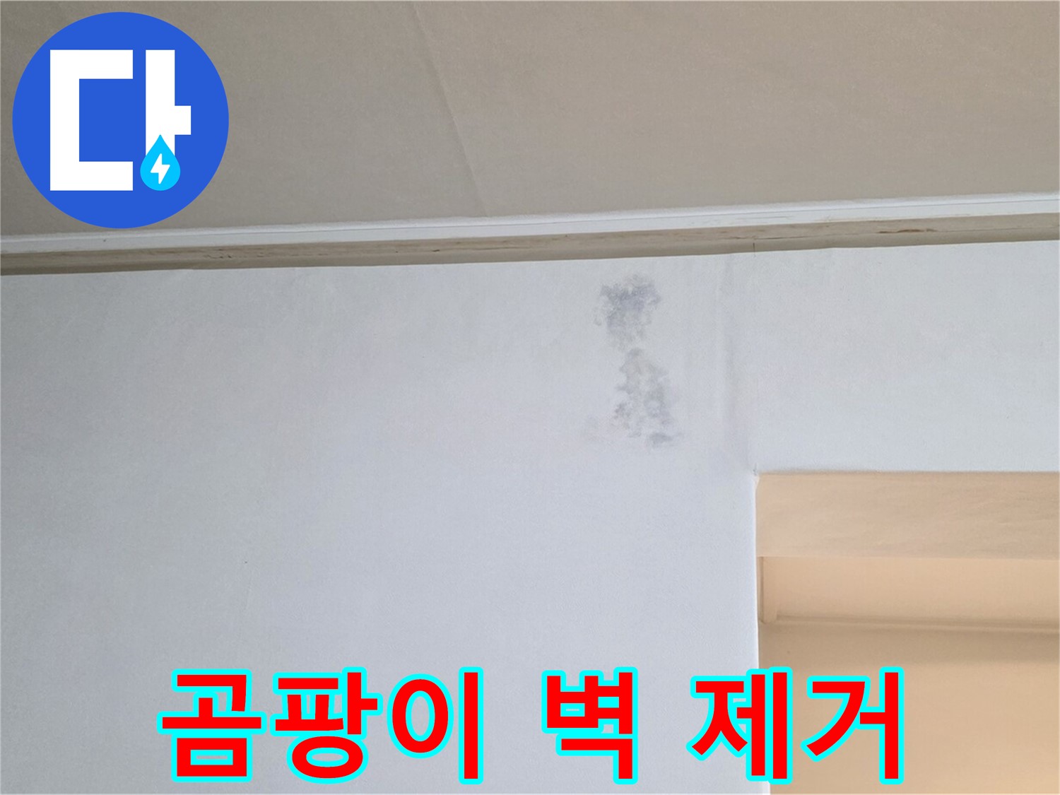 벽 곰팡이 완벽 제거 - 쾌적한 공간으로 변신