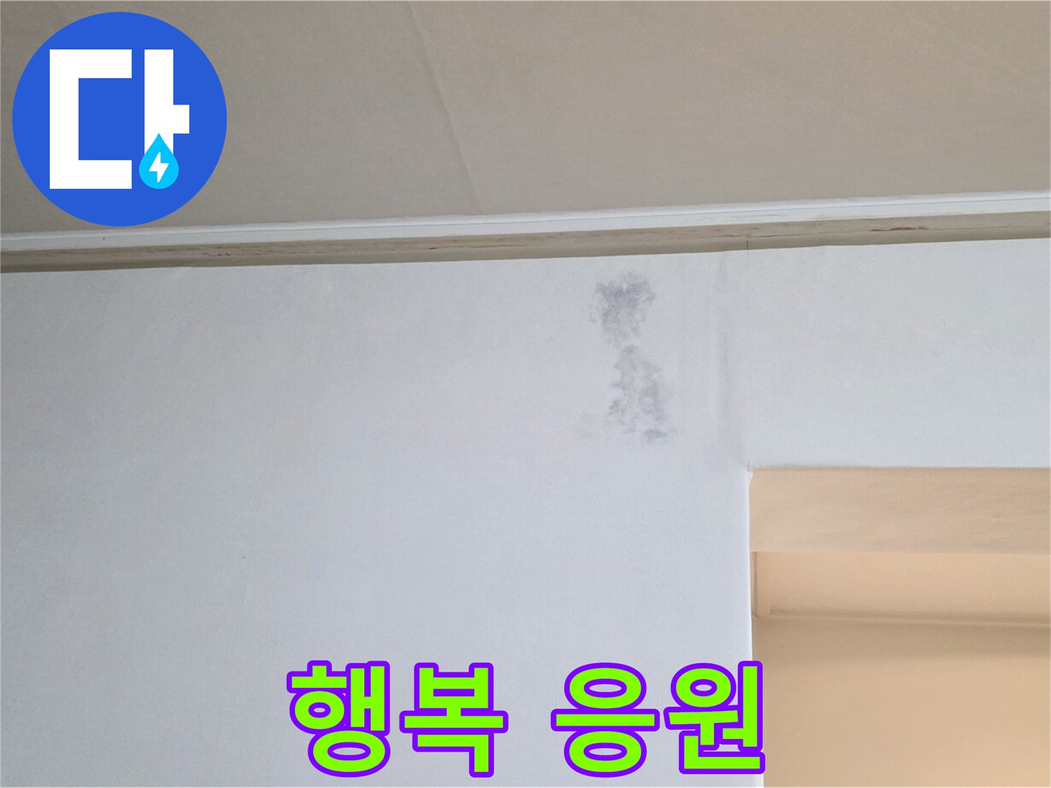 벽 얼룩 문제 해결 - 건강과 행복 응원