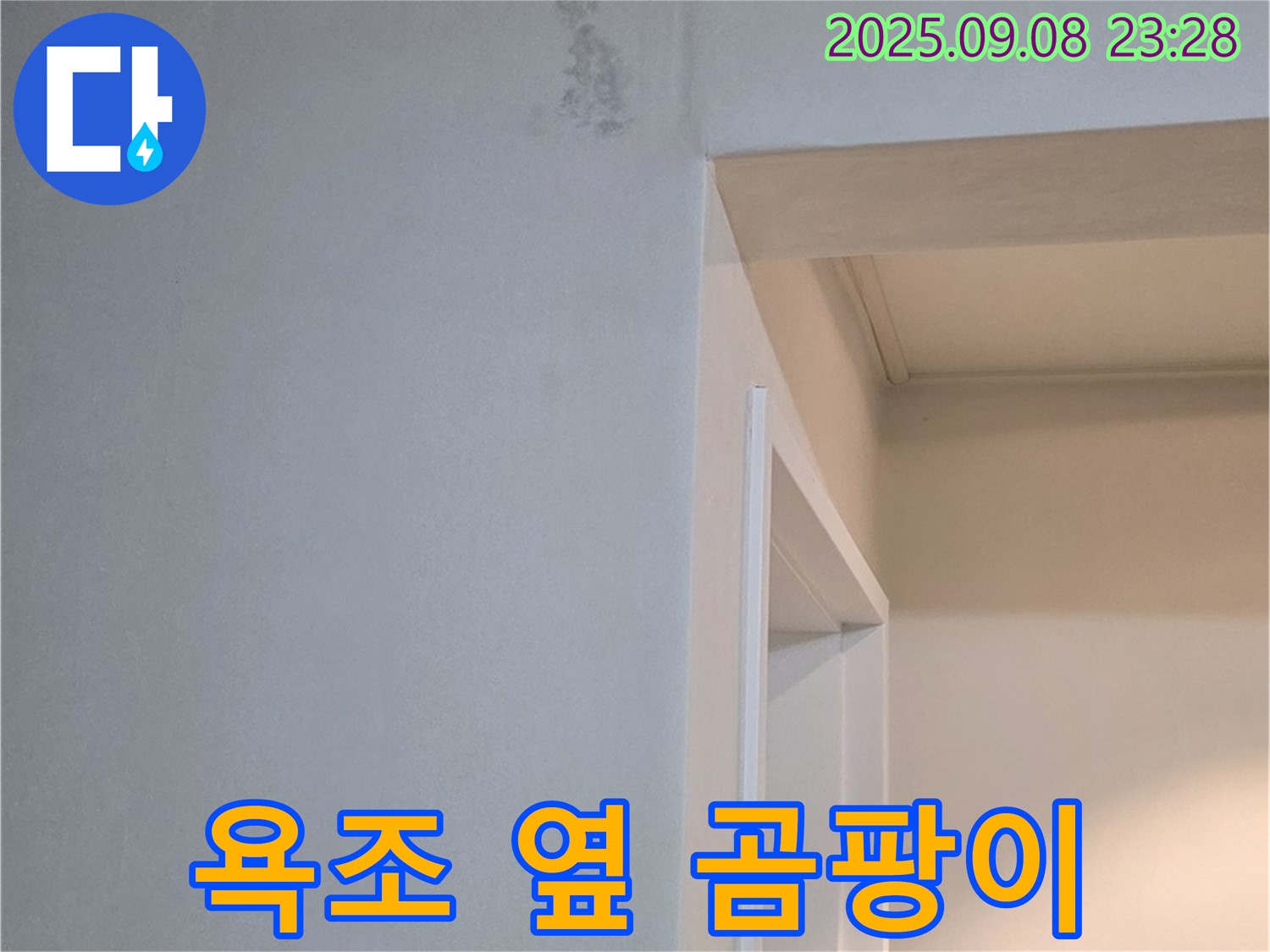 욕조 옆 곰팡이 - 완벽 제거, A/S 보장