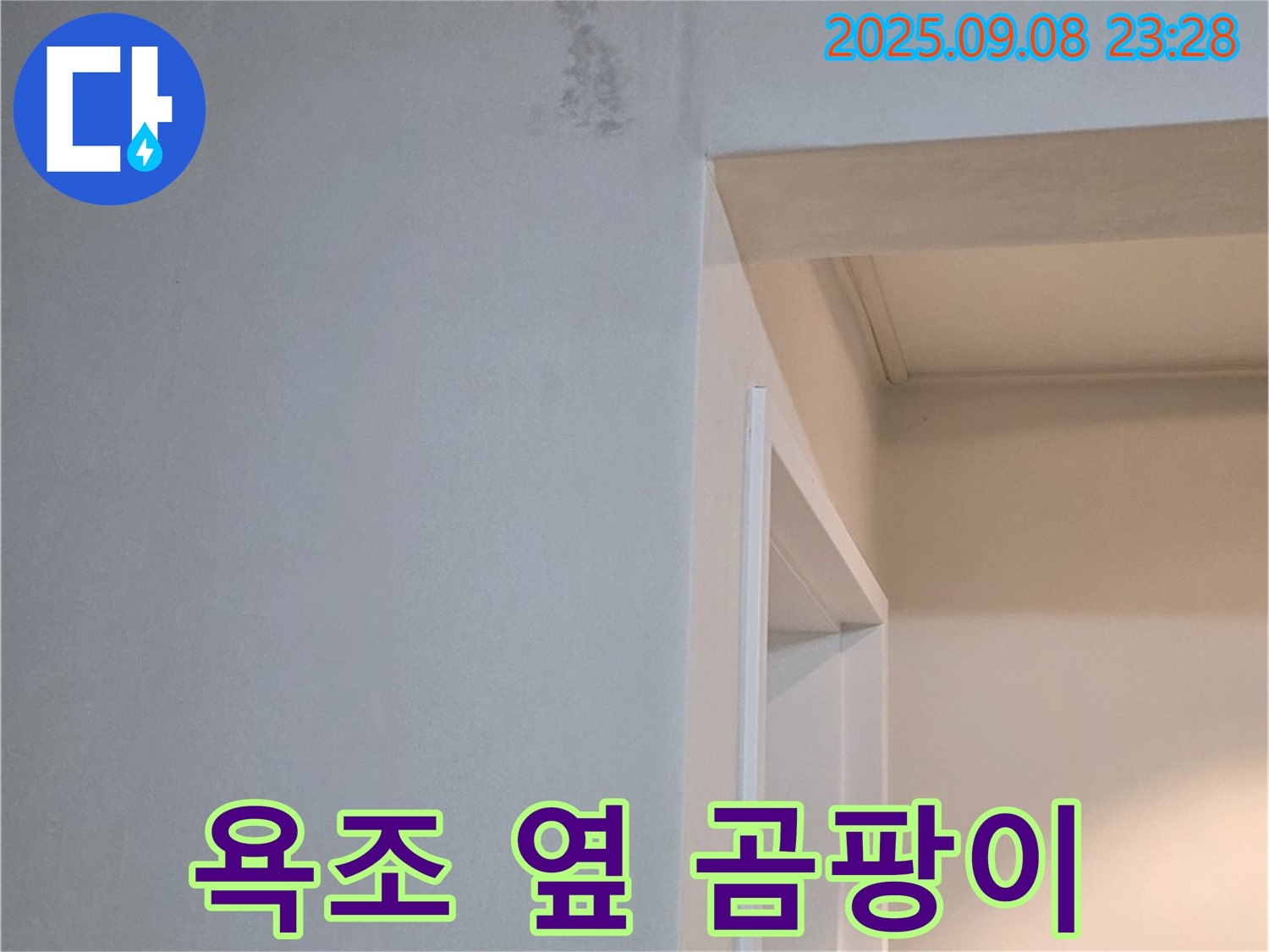 욕조 옆 곰팡이 - 완벽 제거, 재발 방지 책임