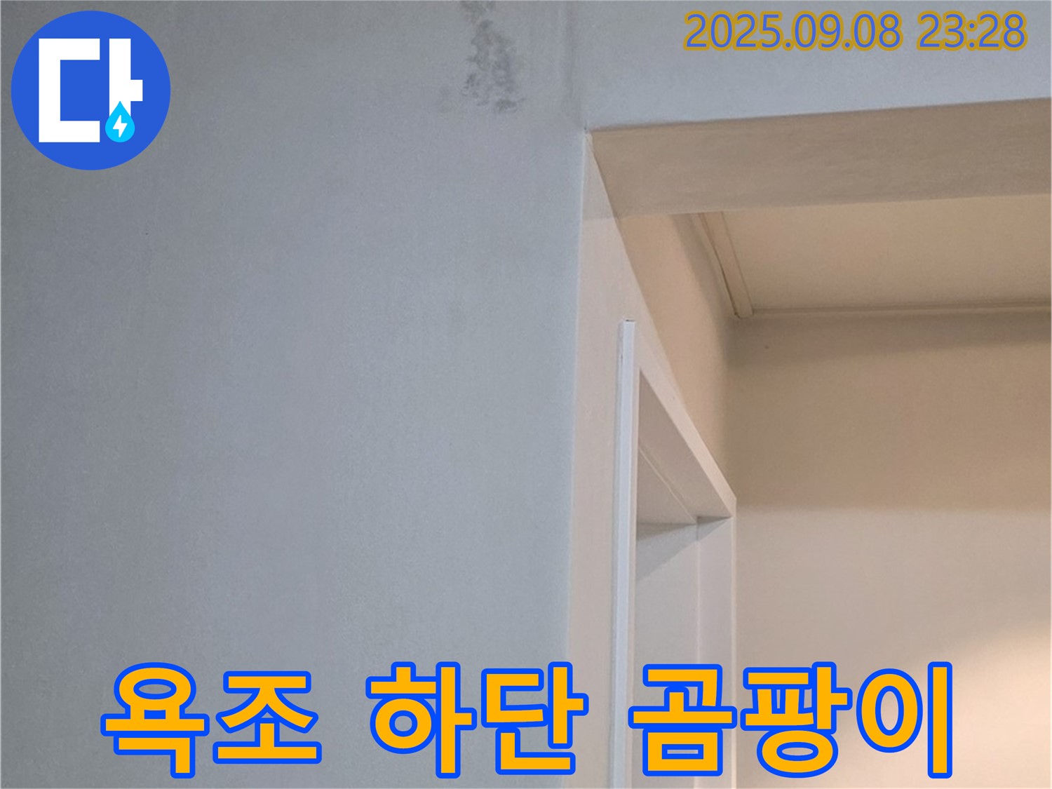 욕조 하단 곰팡이 - 완벽 제거, 관리 꿀팁