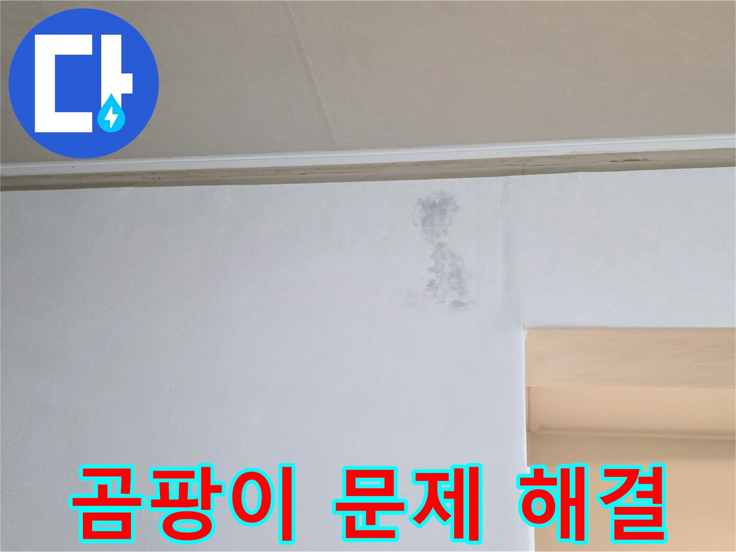 곰팡이 문제 근본적 해결 - 쾌적한 주거 환경