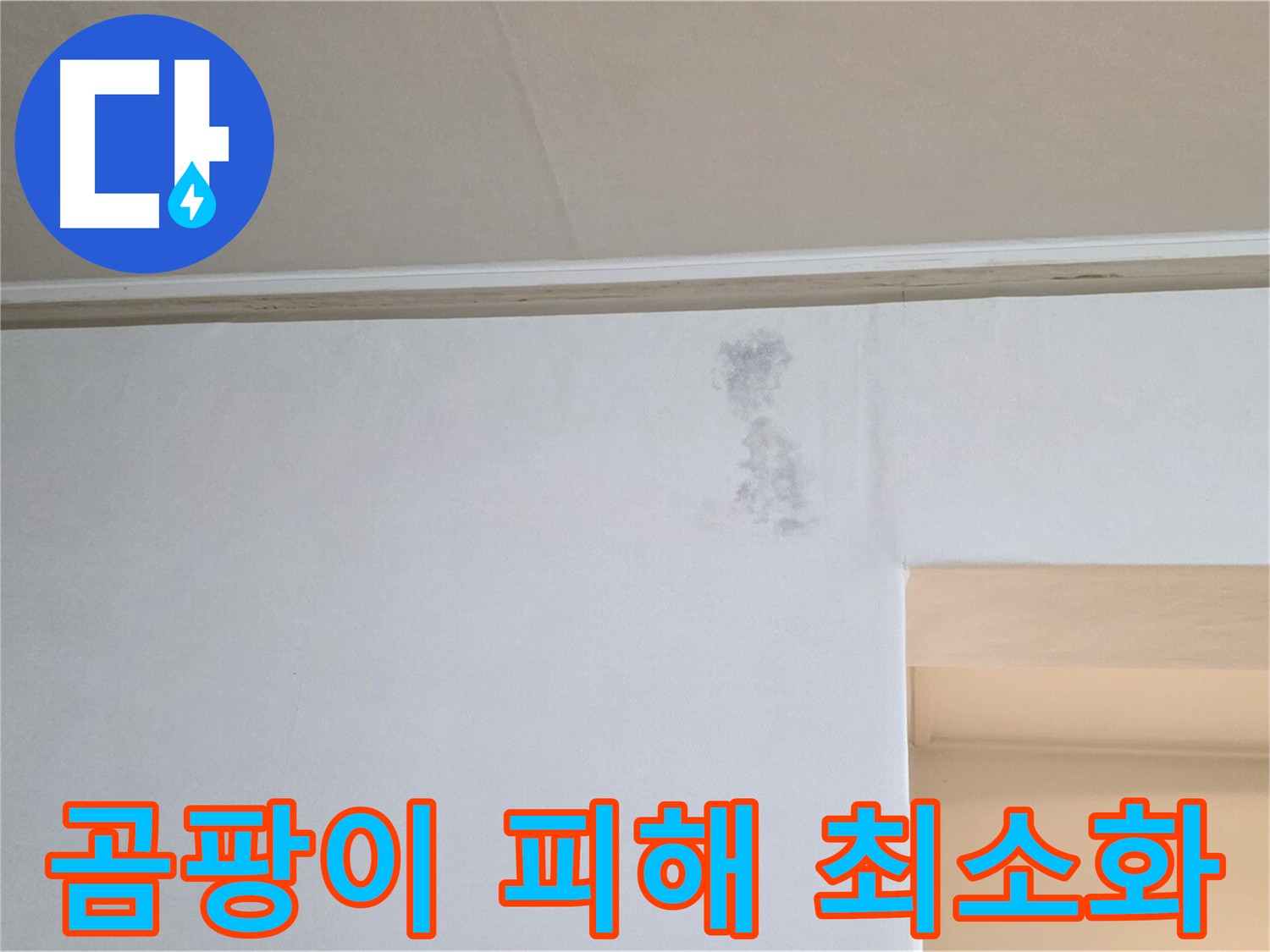 곰팡이 피해 최소화 노력 - 신속한 대응