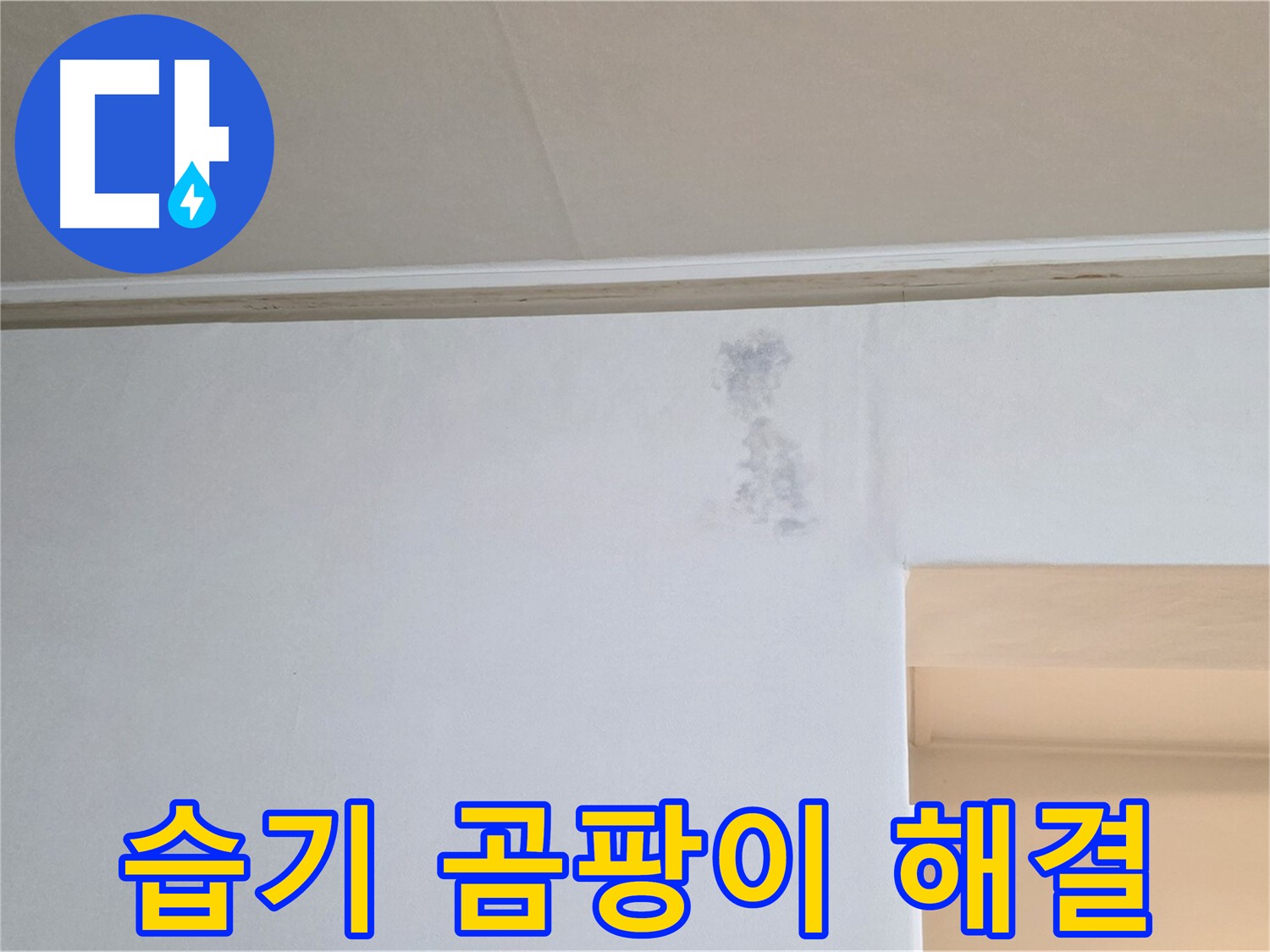 벽면 습기 및 곰팡이 문제 해결 - 쾌적한 환경 조성