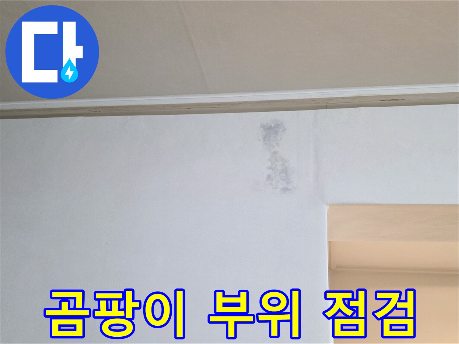 곰팡이 발생 부위 집중 점검 - 누수 원인 파악