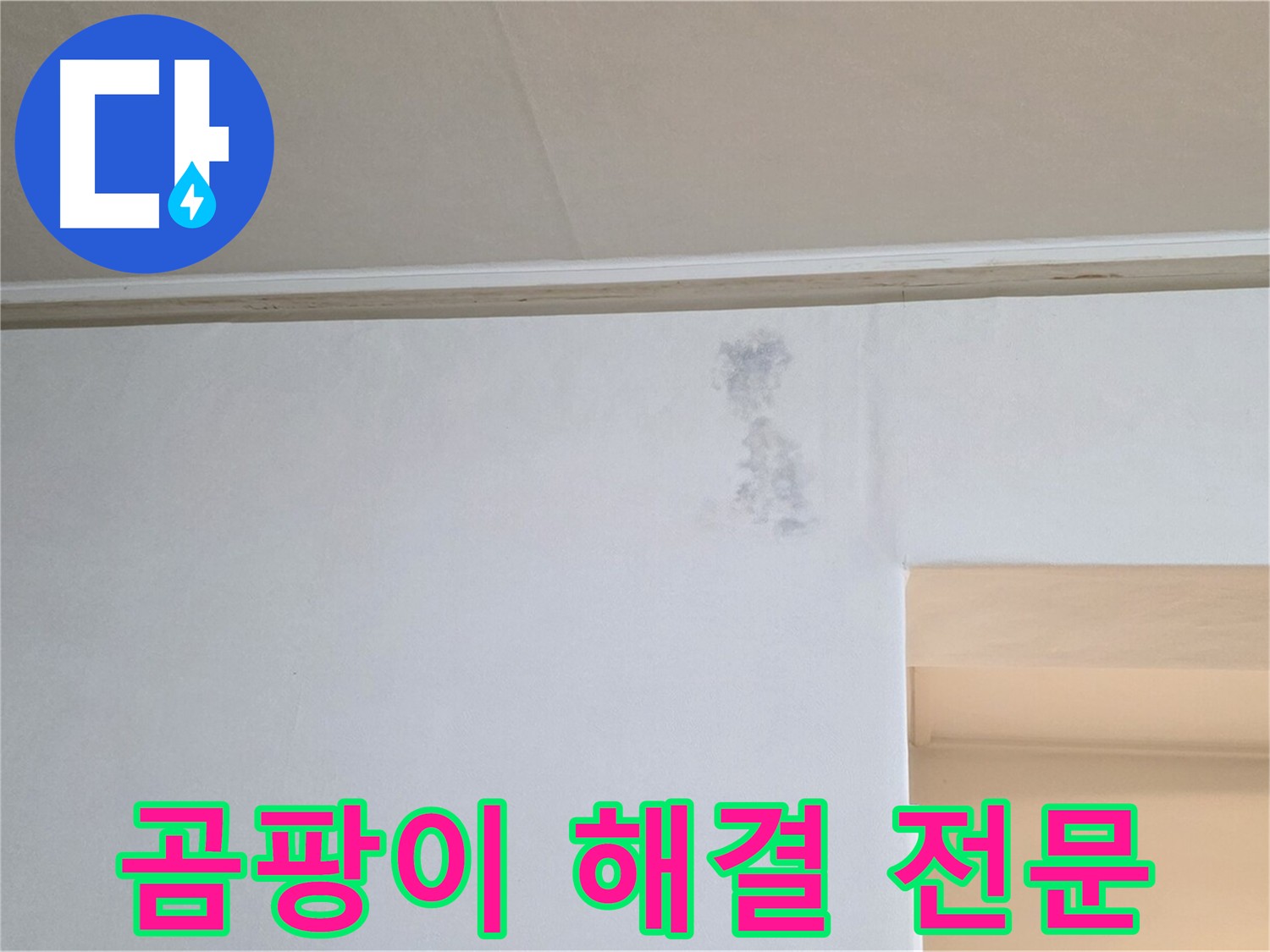 곰팡이 문제 해결 전문 업체 - 신뢰와 책임 시공